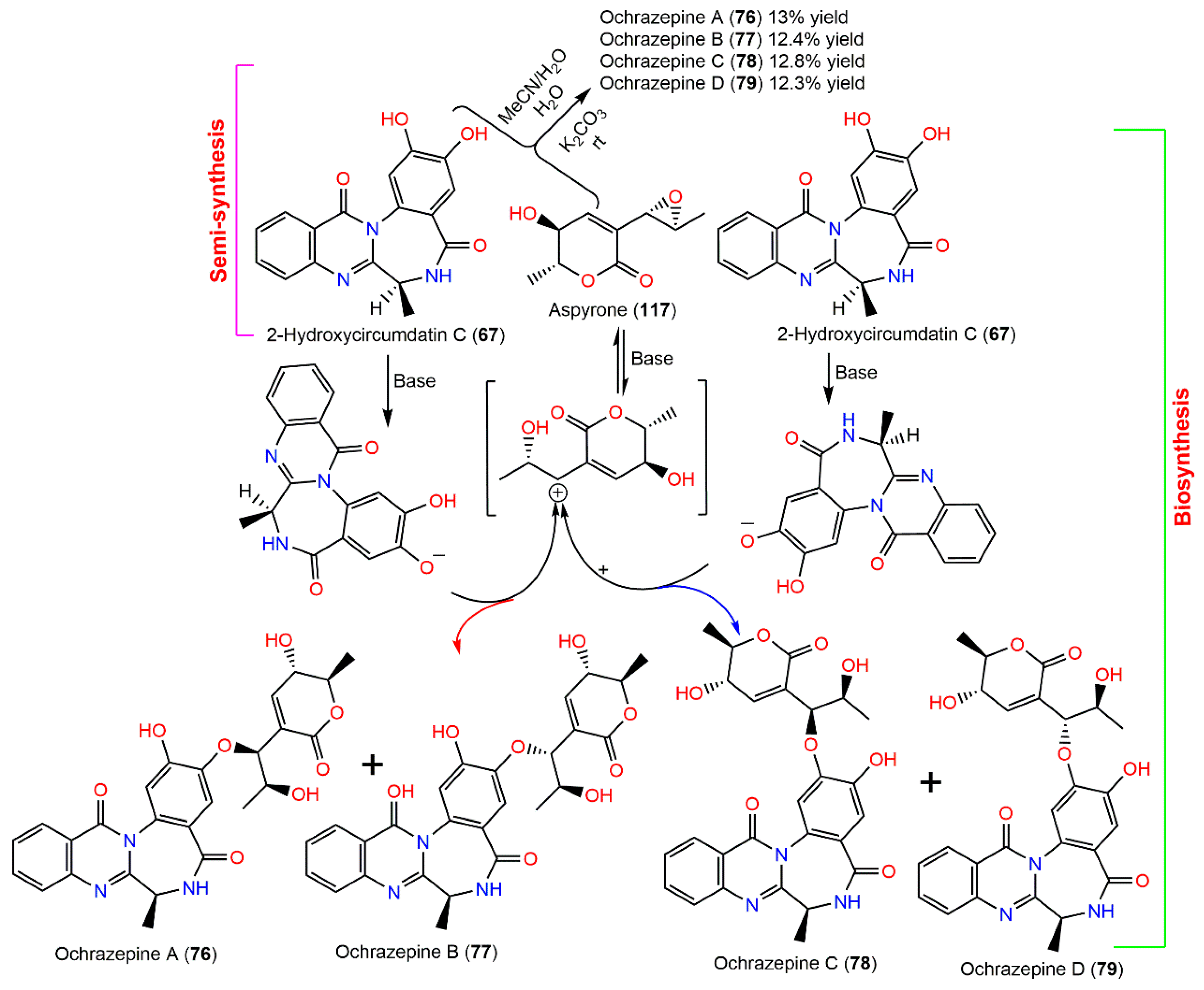 Molecules 27 06759 sch002