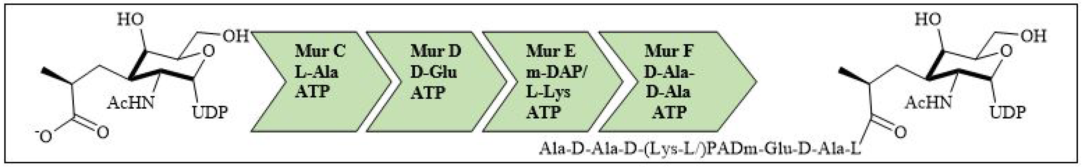 Molecules 27 06763 g007 Molecules 27 06763 g007