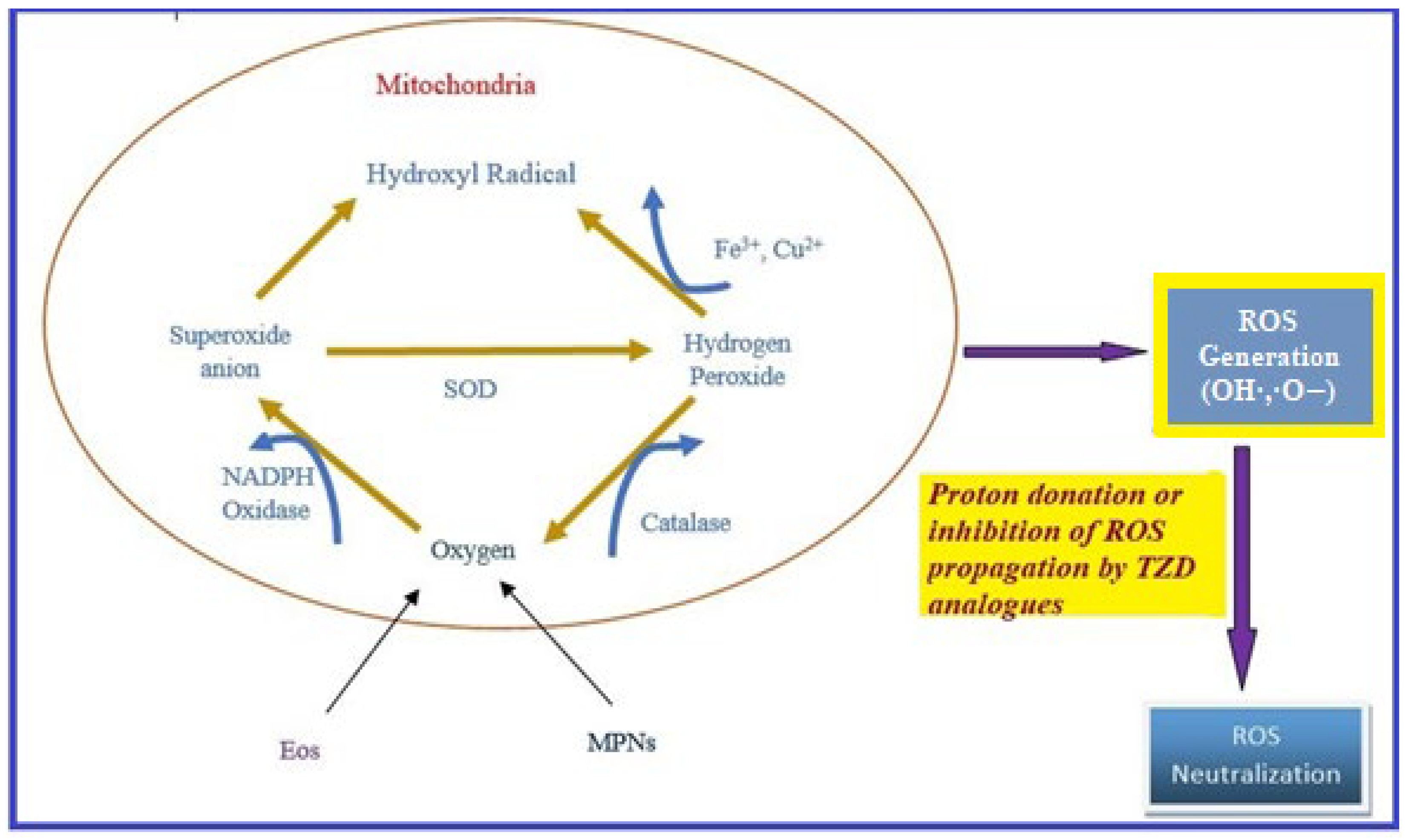 Molecules 27 06763 g008 Molecules 27 06763 g008