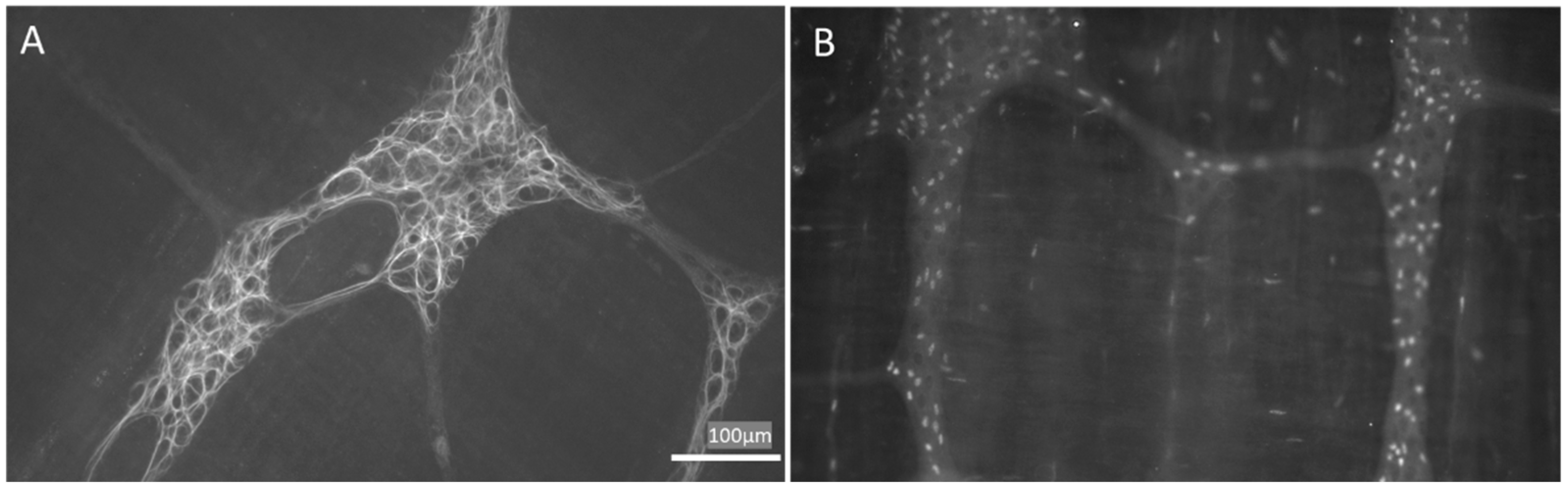 Molecules 27 06773 g001