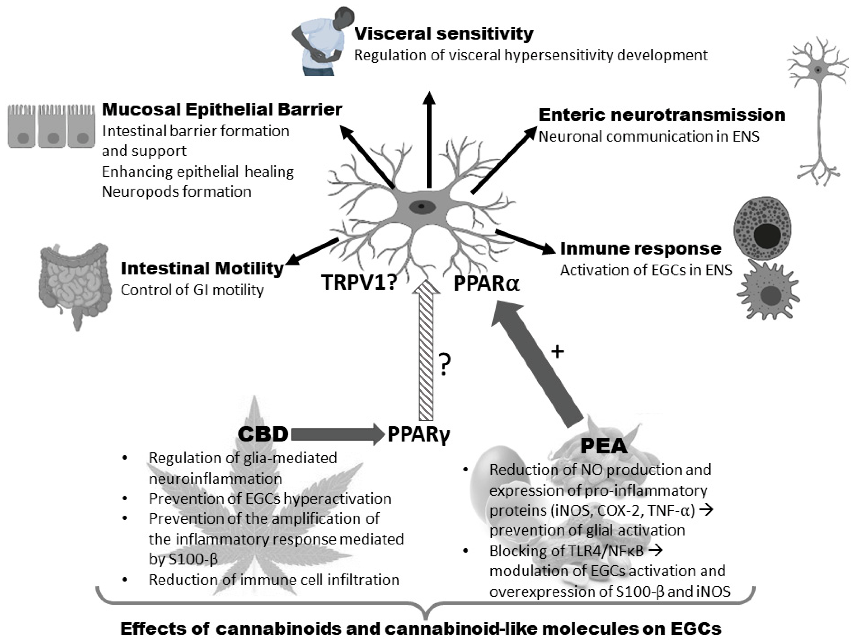 Molecules 27 06773 g004