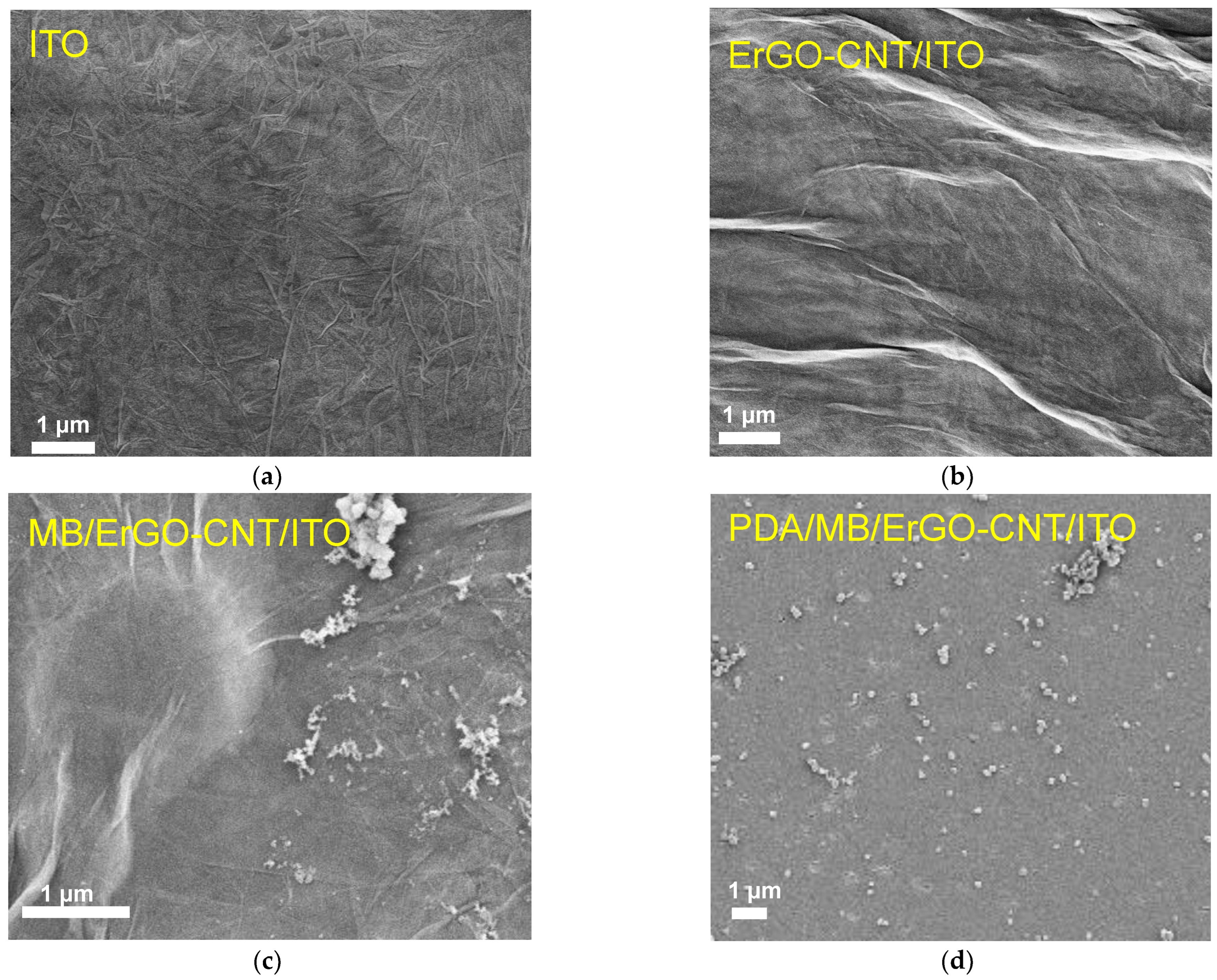 Molecules 27 06778 g004 Molecules 27 06778 g004