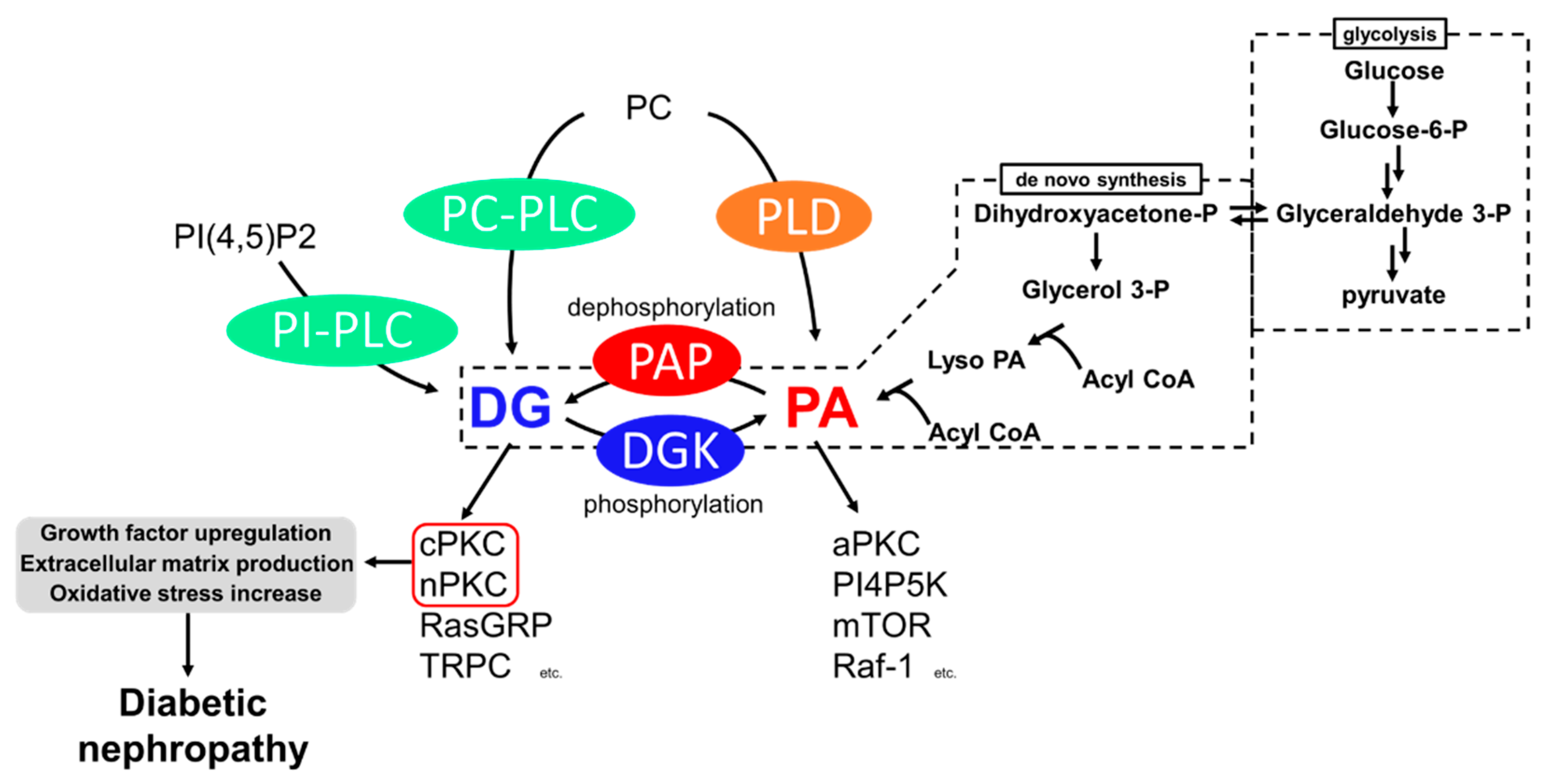 Molecules 27 06784 g001