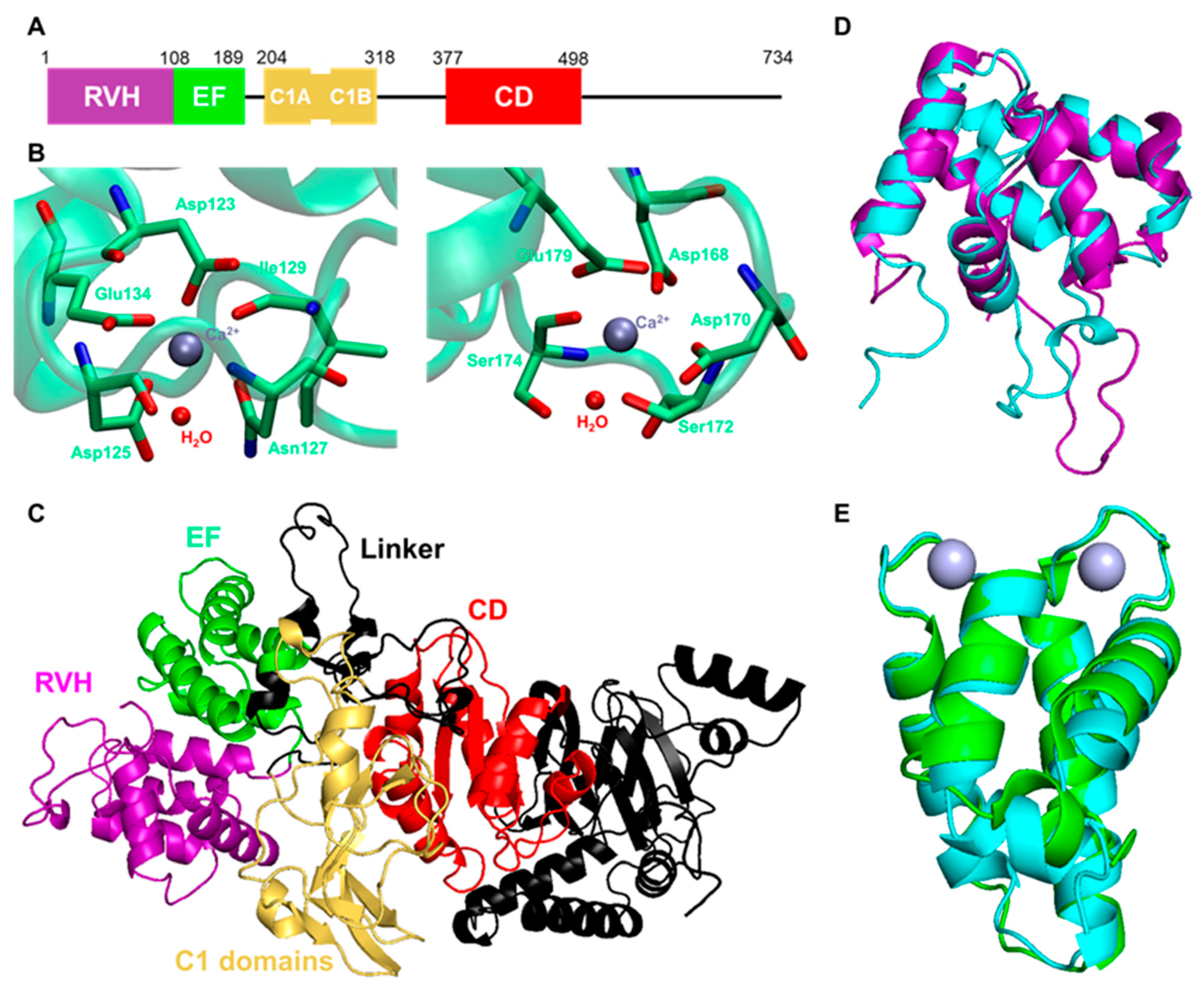 Molecules 27 06784 g003