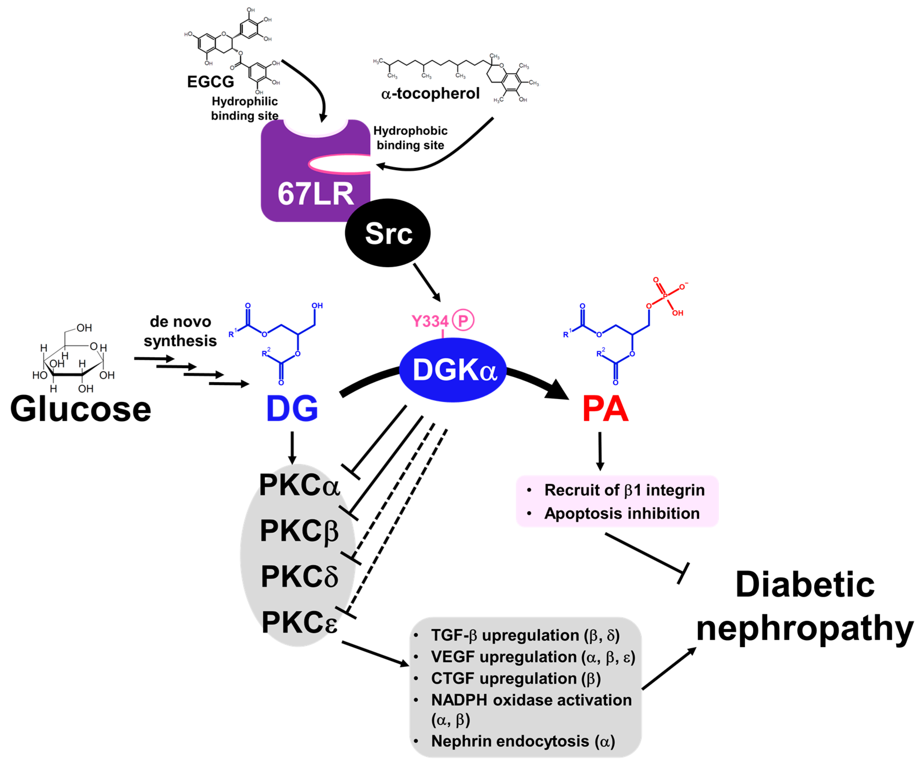 Molecules 27 06784 g005