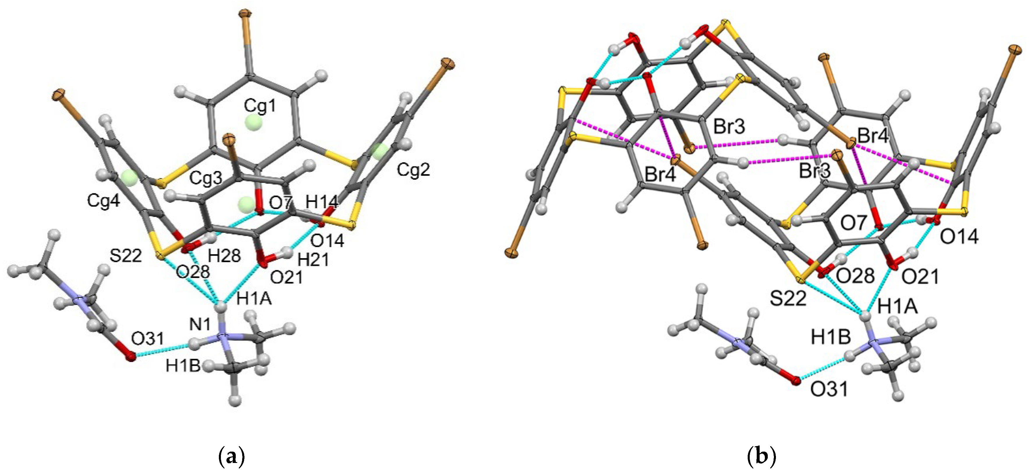 Molecules 27 06793 g003 Molecules 27 06793 g003