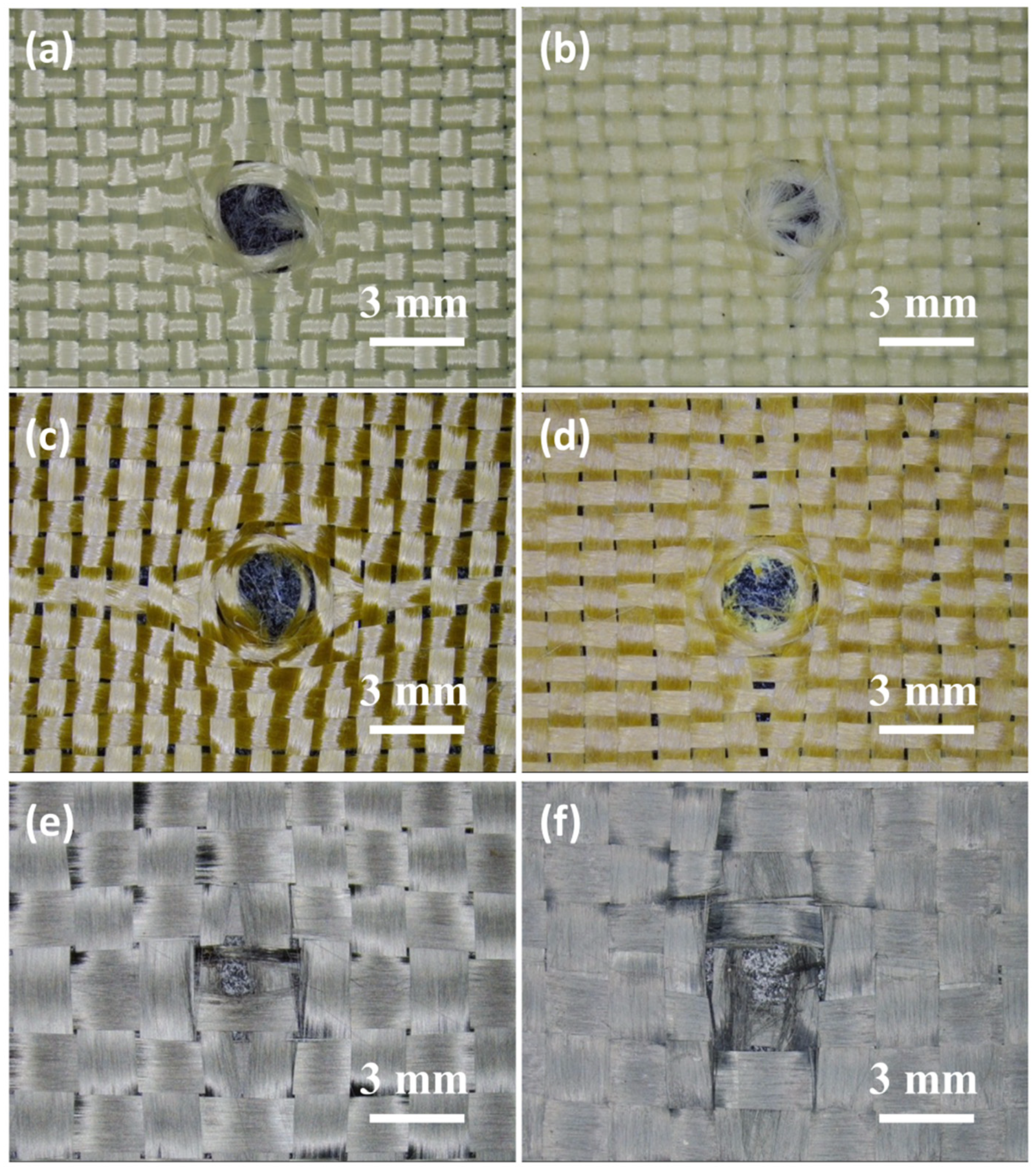 Molecules 27 06799 g005 Molecules 27 06799 g005