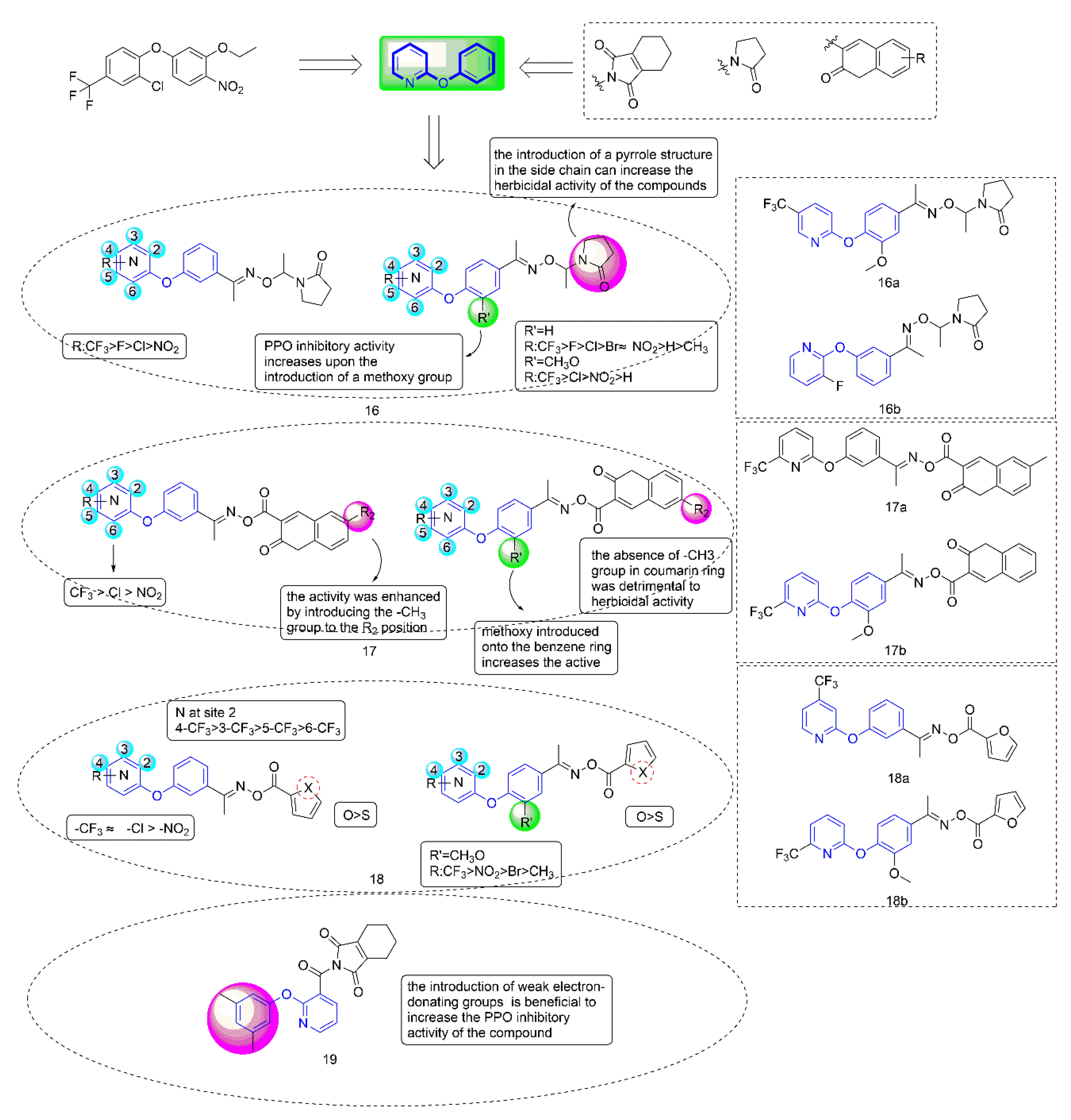 Molecules 27 06803 g004 Molecules 27 06803 g004