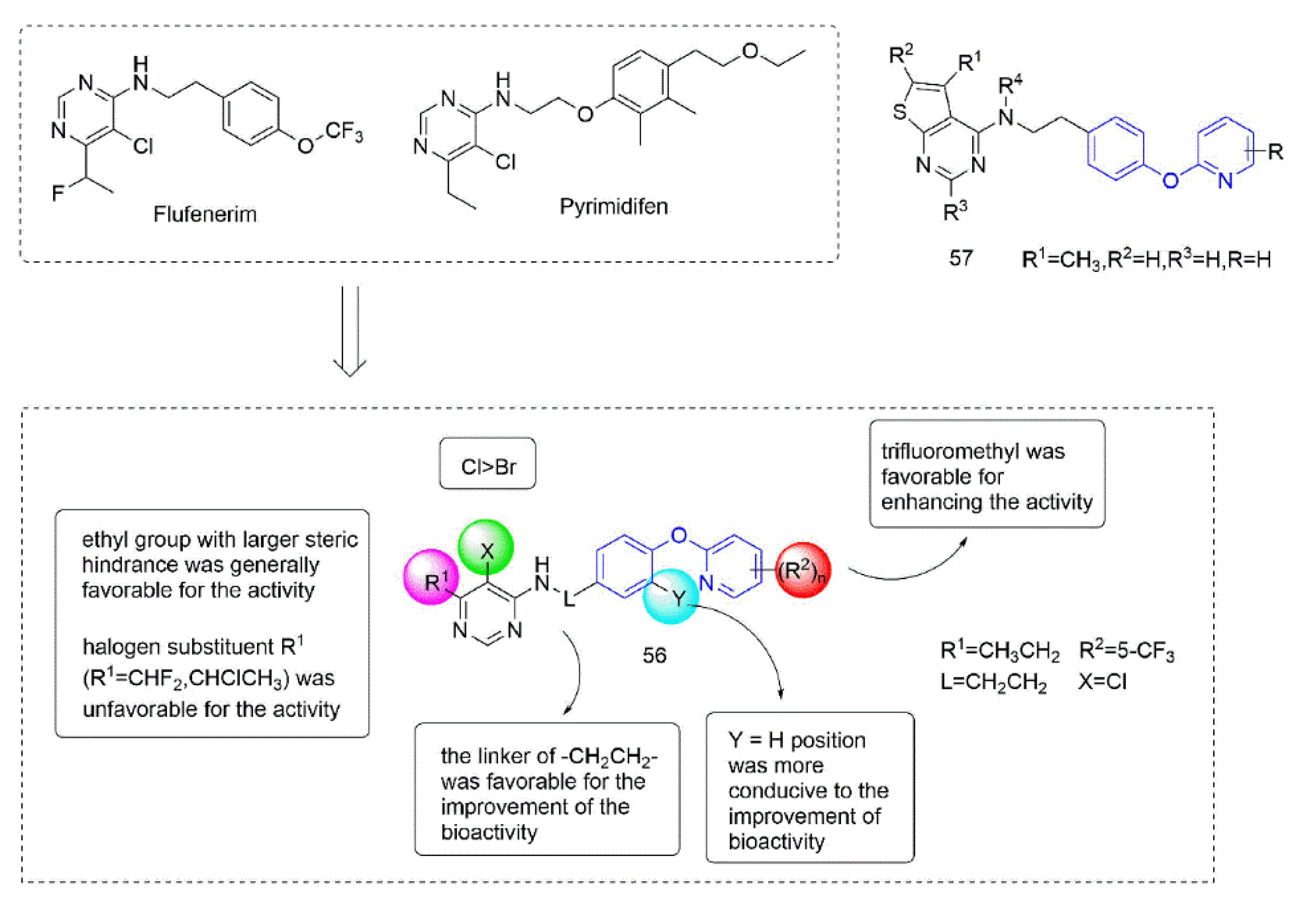Molecules 27 06803 g012 Molecules 27 06803 g012