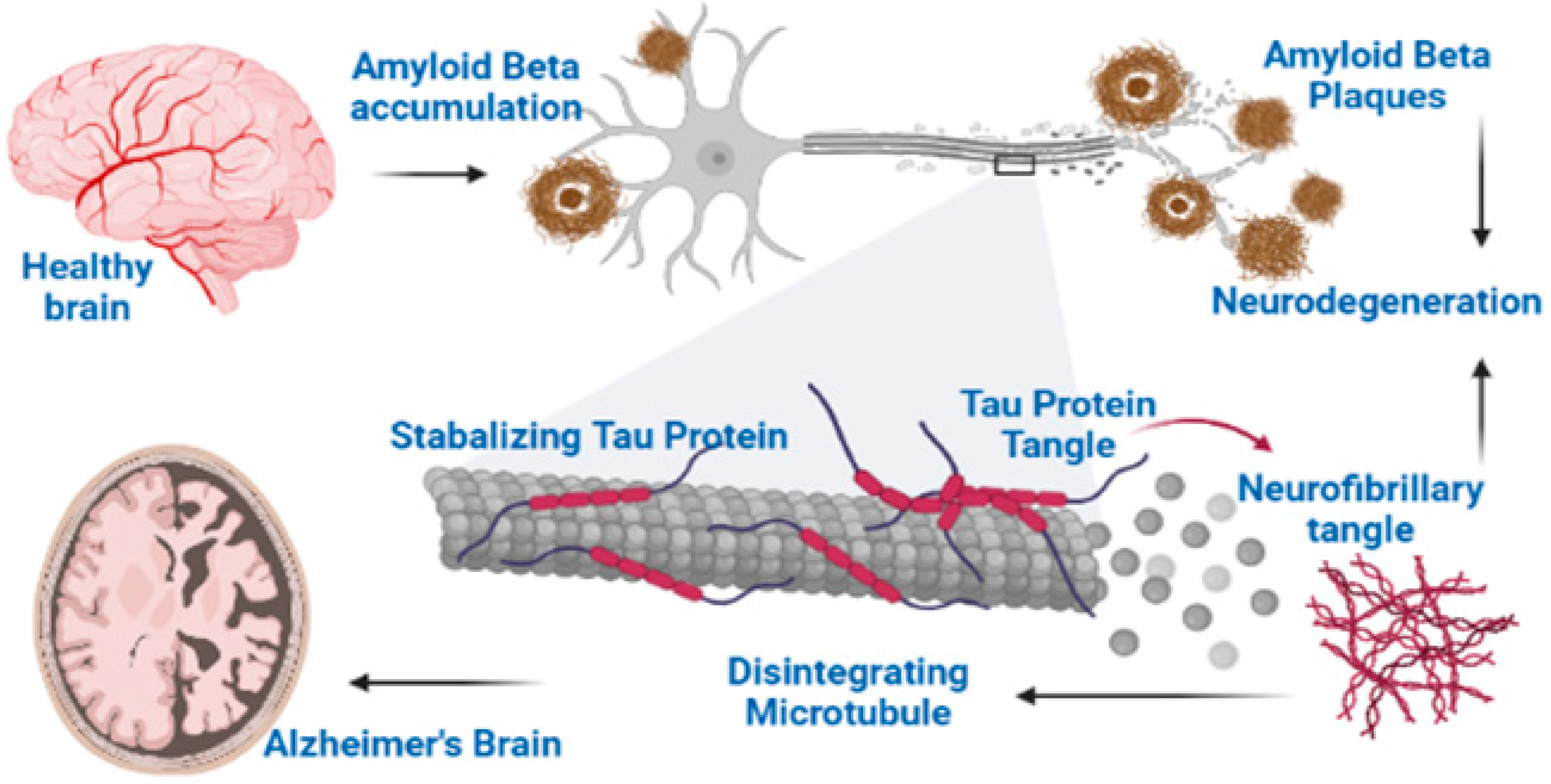 Molecules 27 06804 g001 Molecules 27 06804 g001
