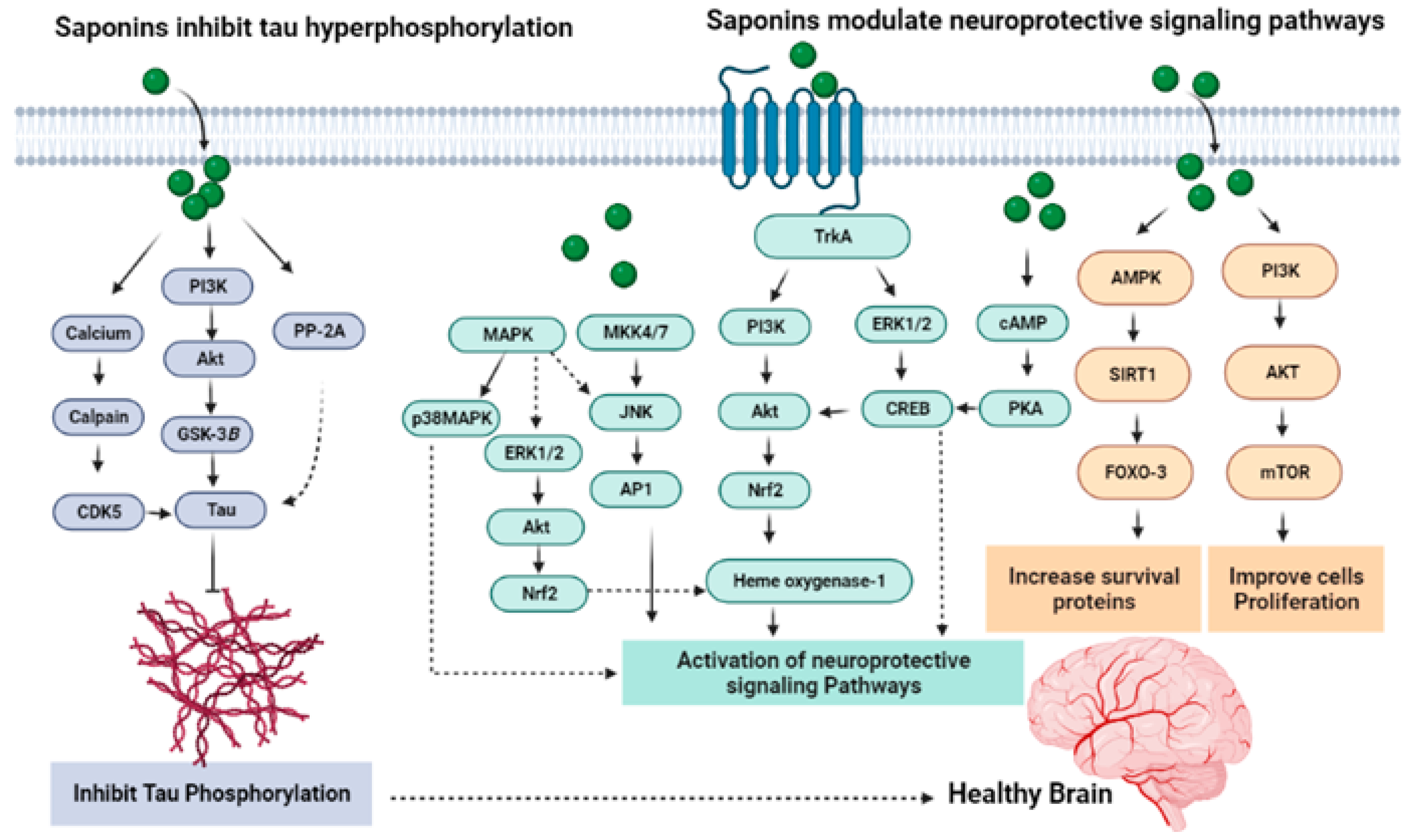 Molecules 27 06804 g008 Molecules 27 06804 g008