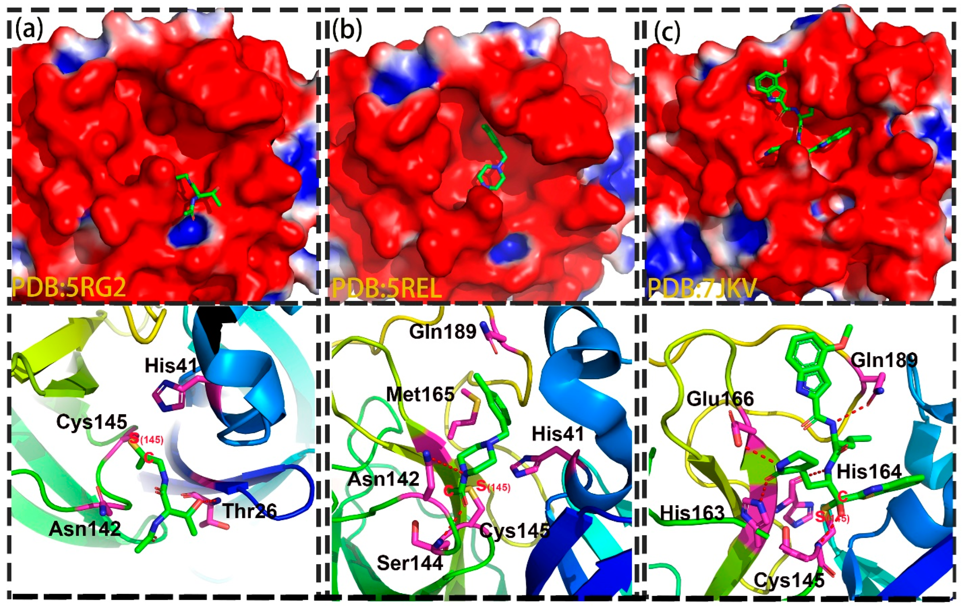 Molecules 27 06823 g004