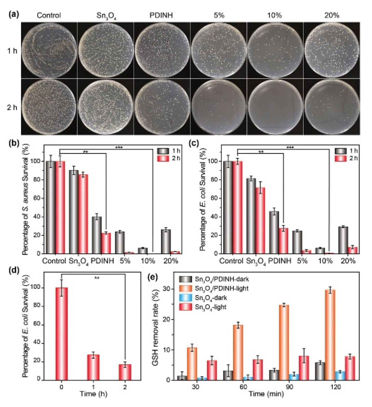 Molecules 27 06828 g016