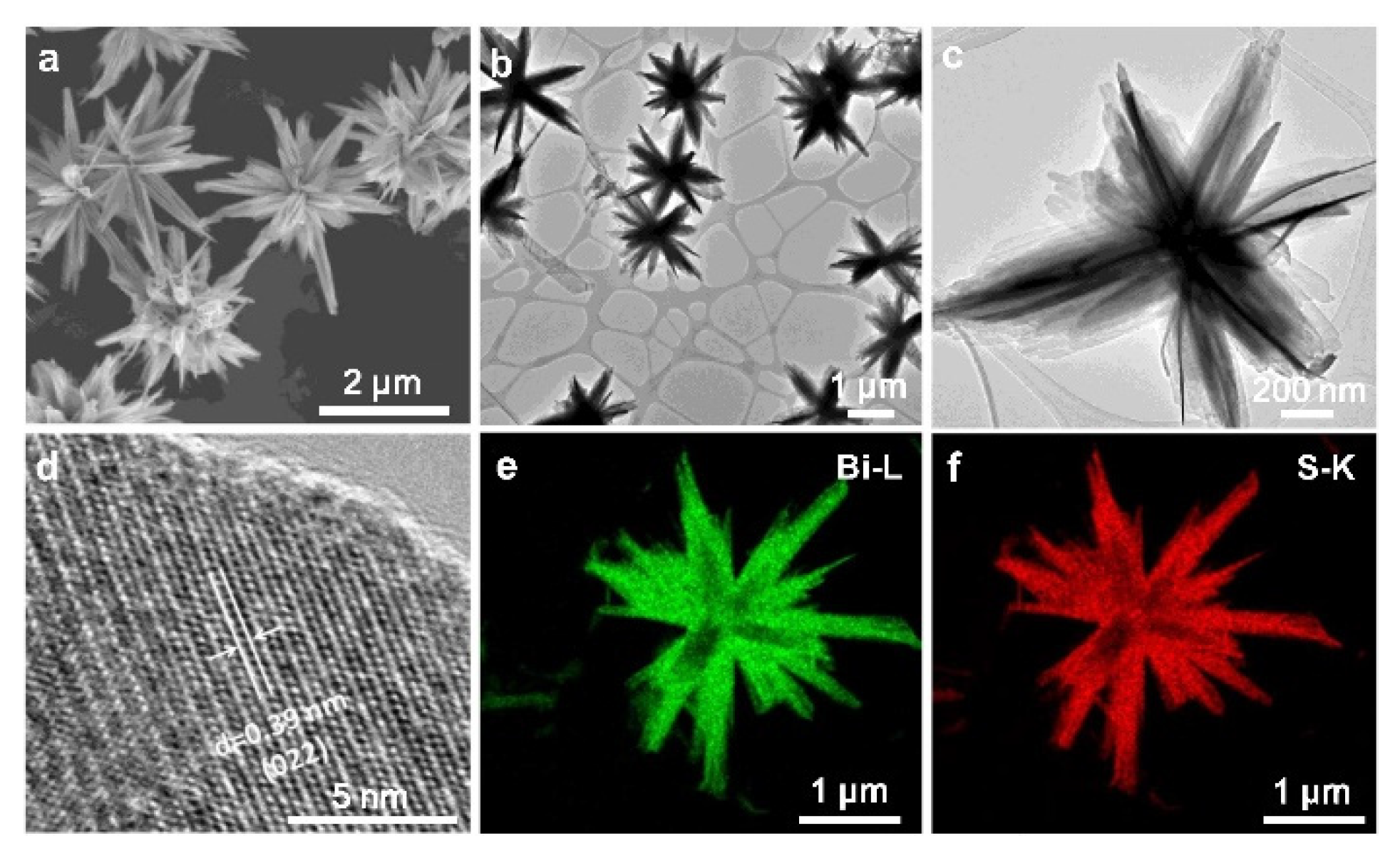Molecules 27 06828 g017