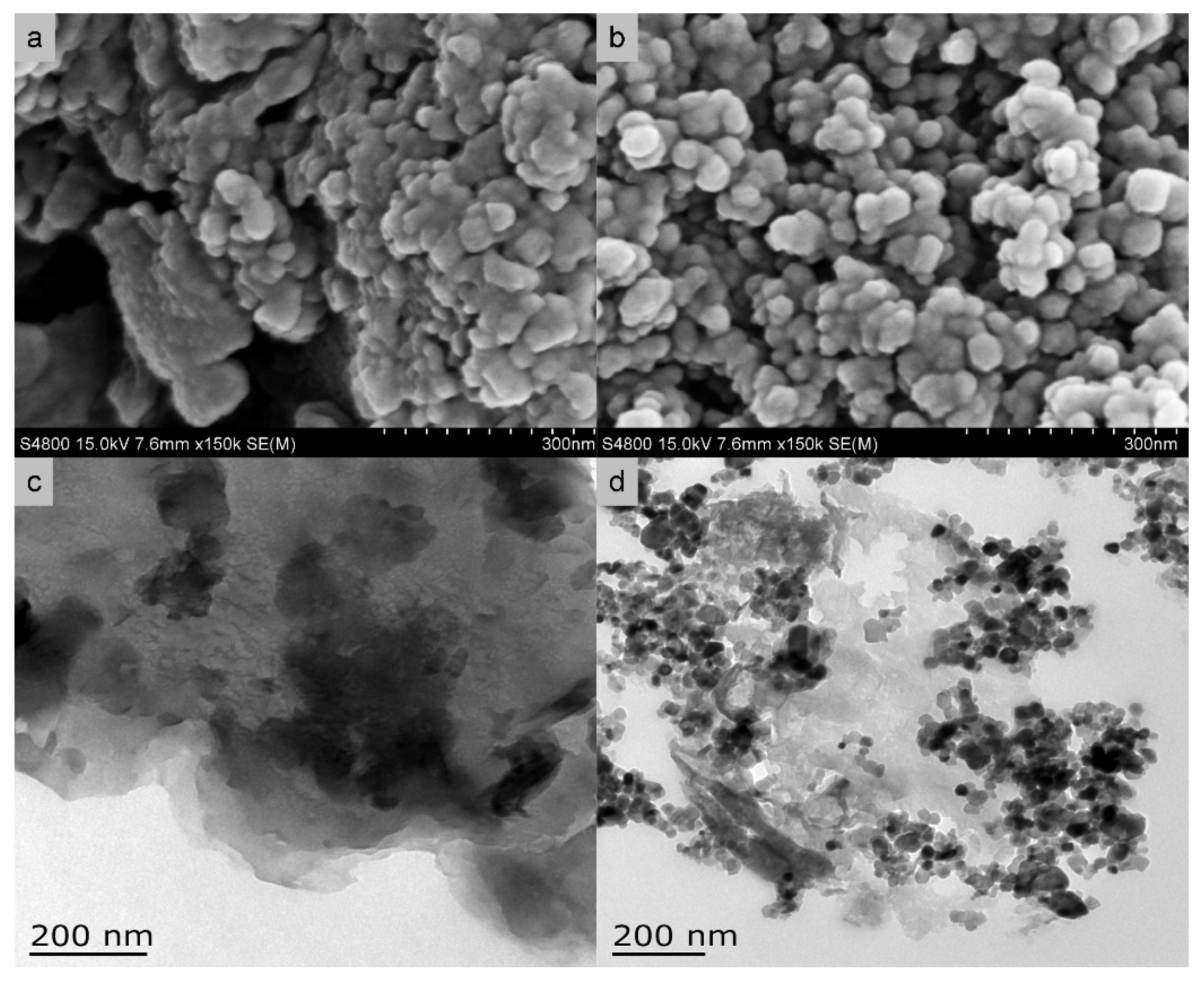 Molecules 27 06828 g025