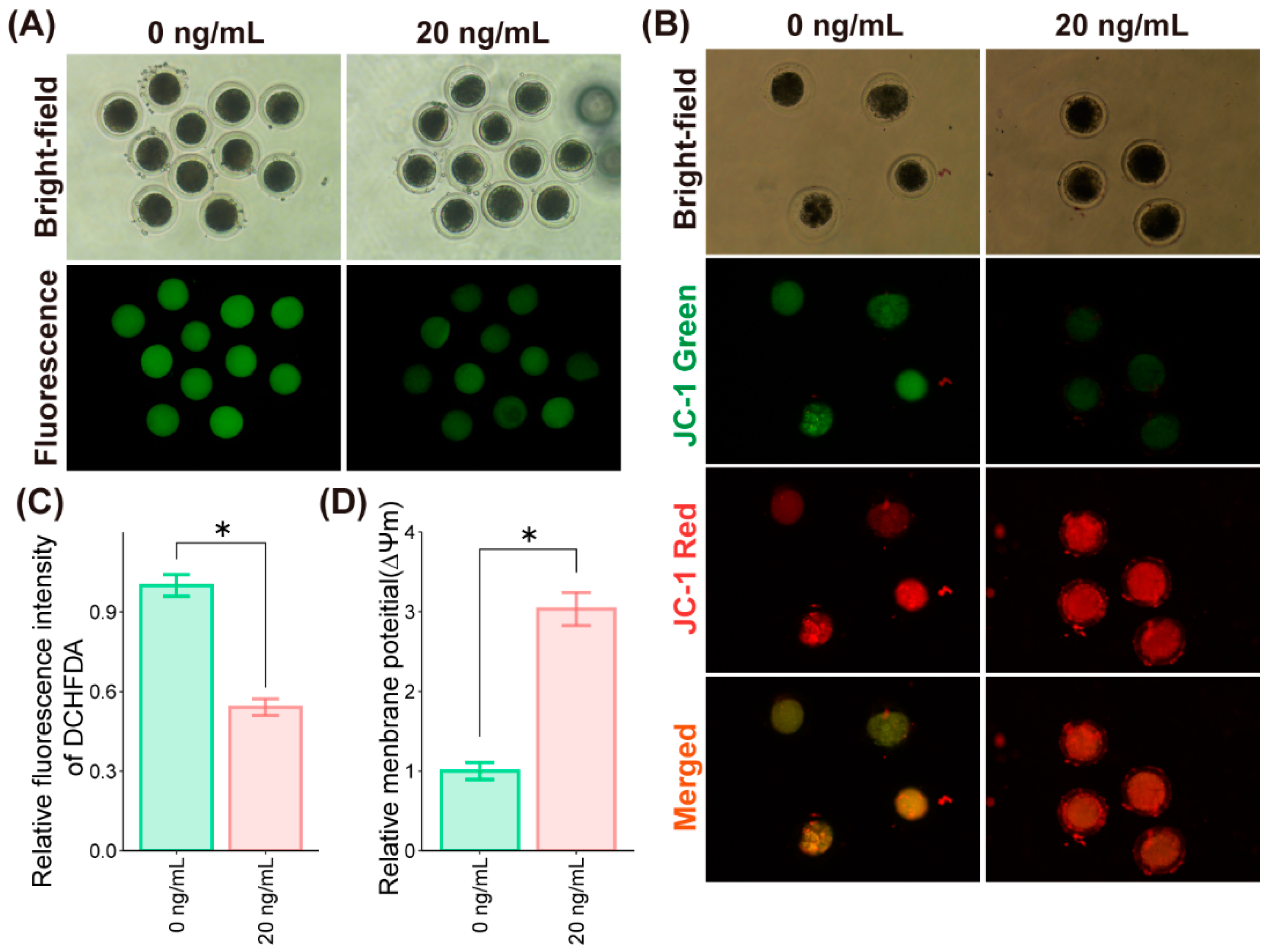 Molecules 27 06830 g003