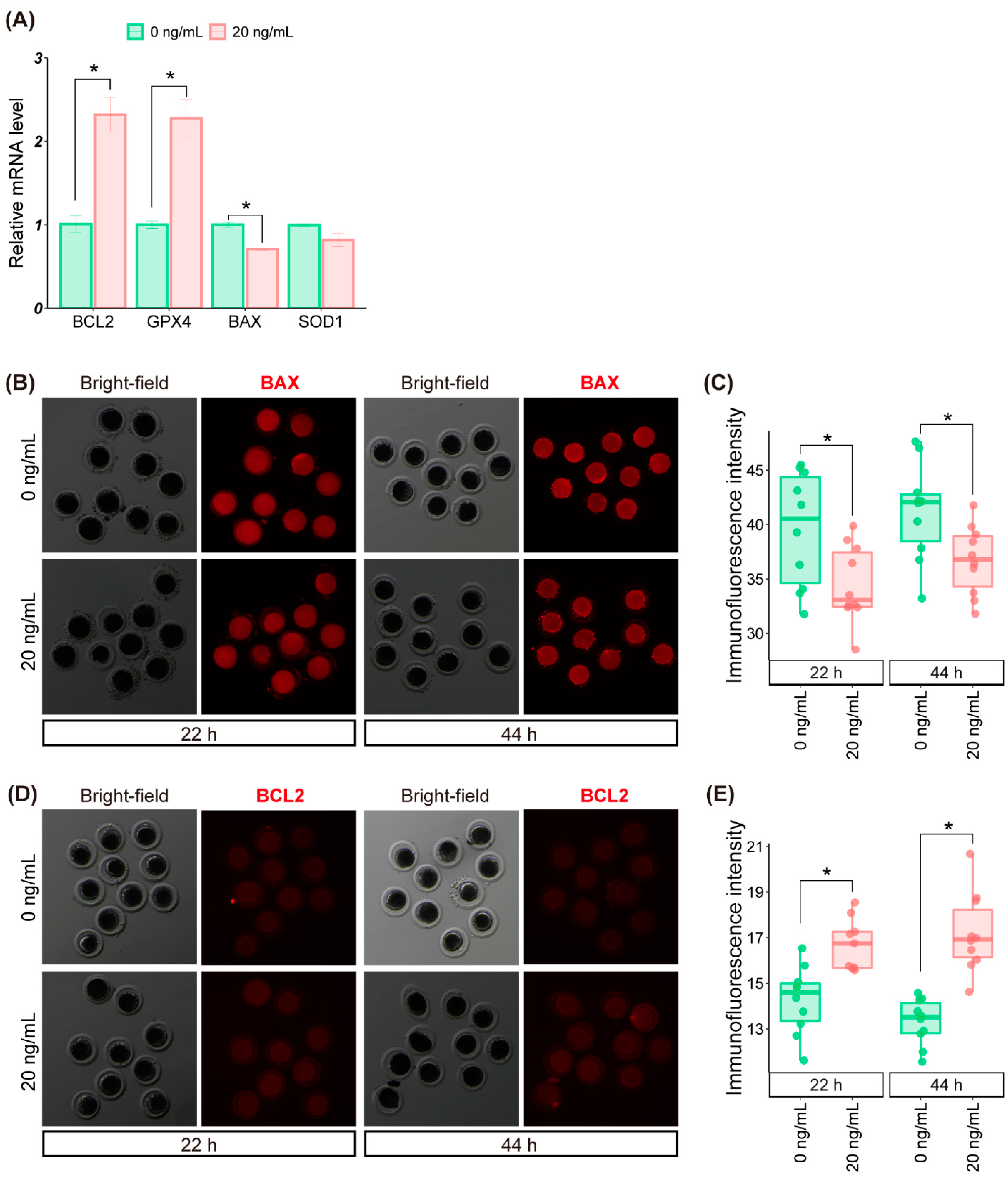 Molecules 27 06830 g004