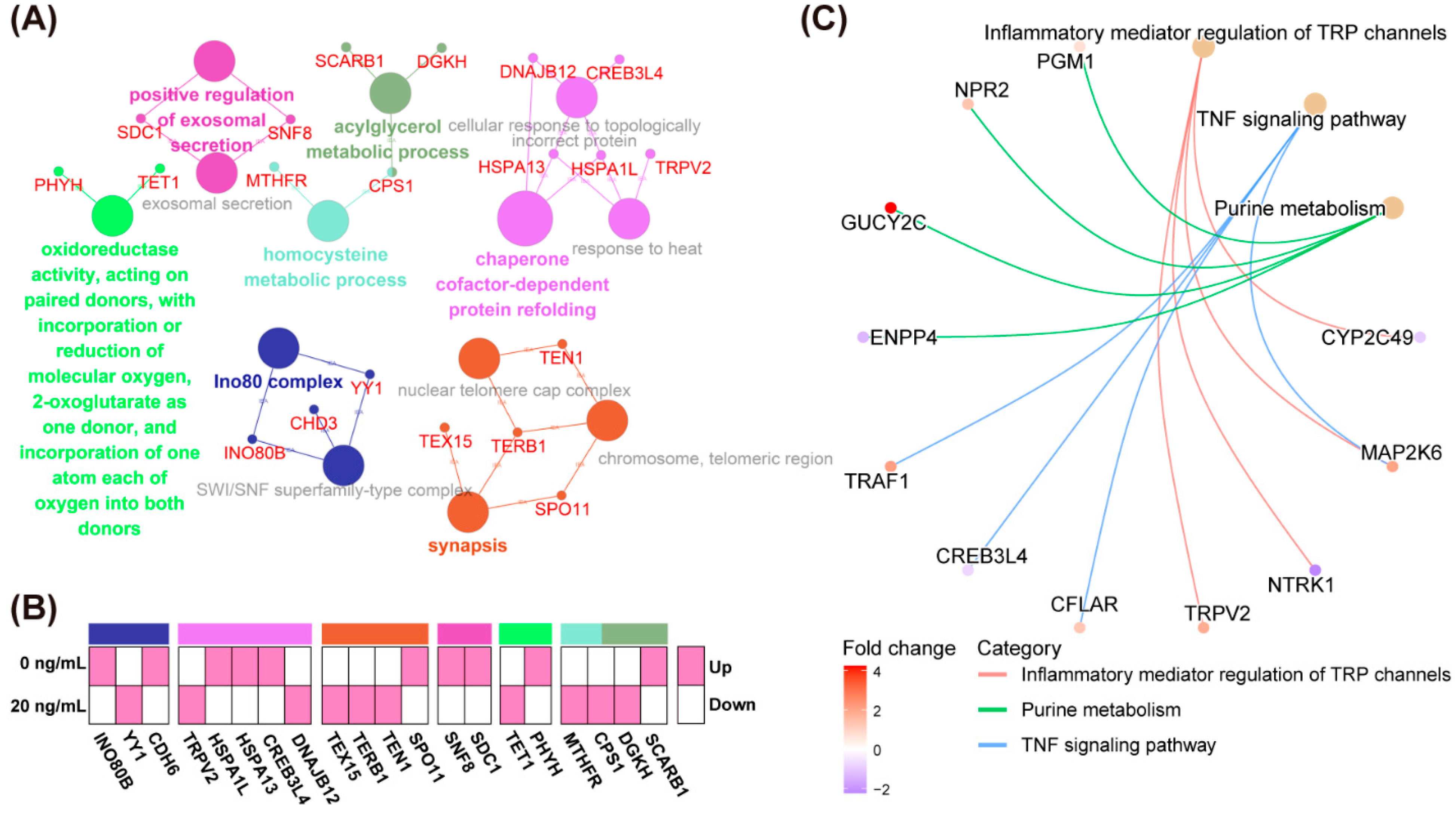 Molecules 27 06830 g007