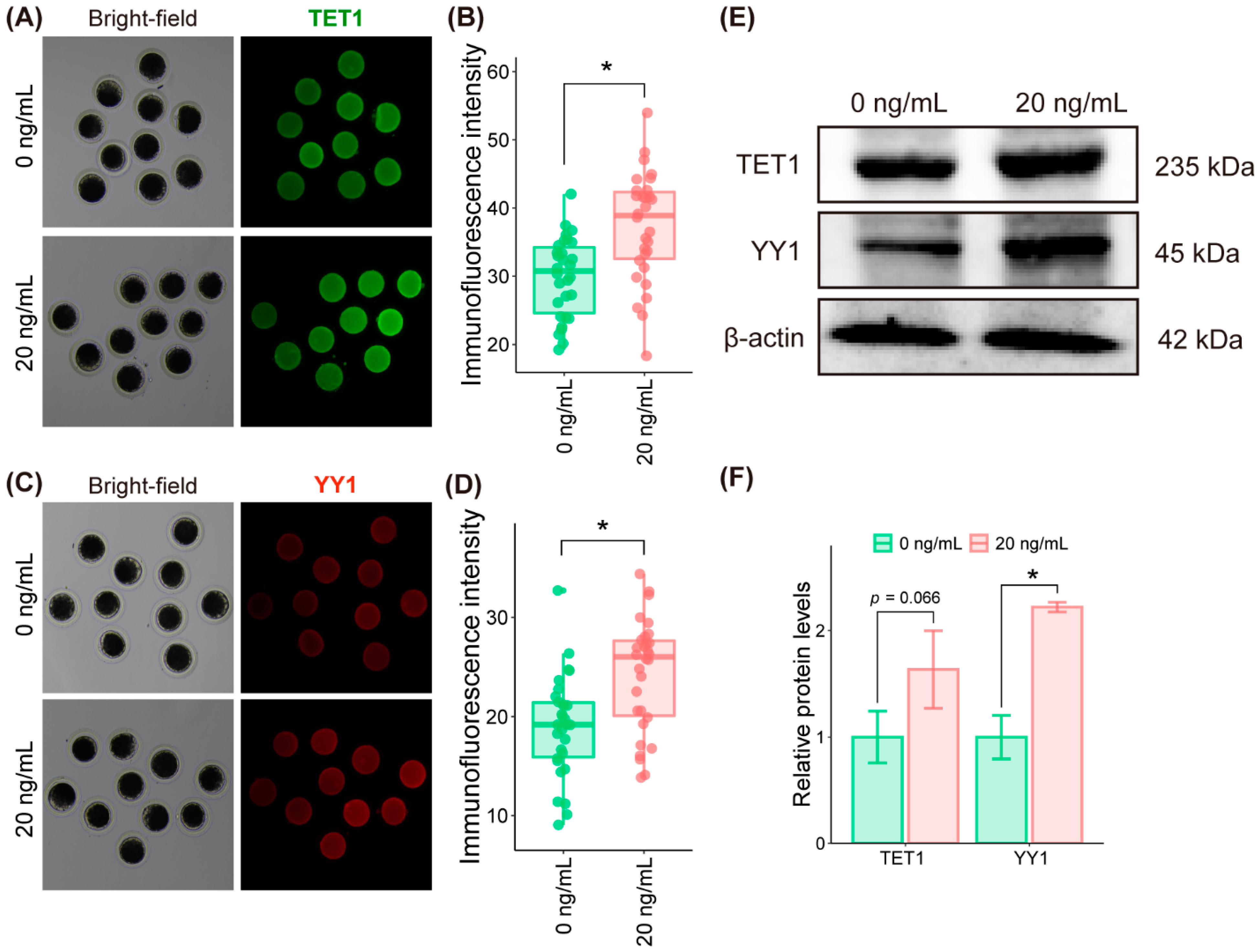 Molecules 27 06830 g008