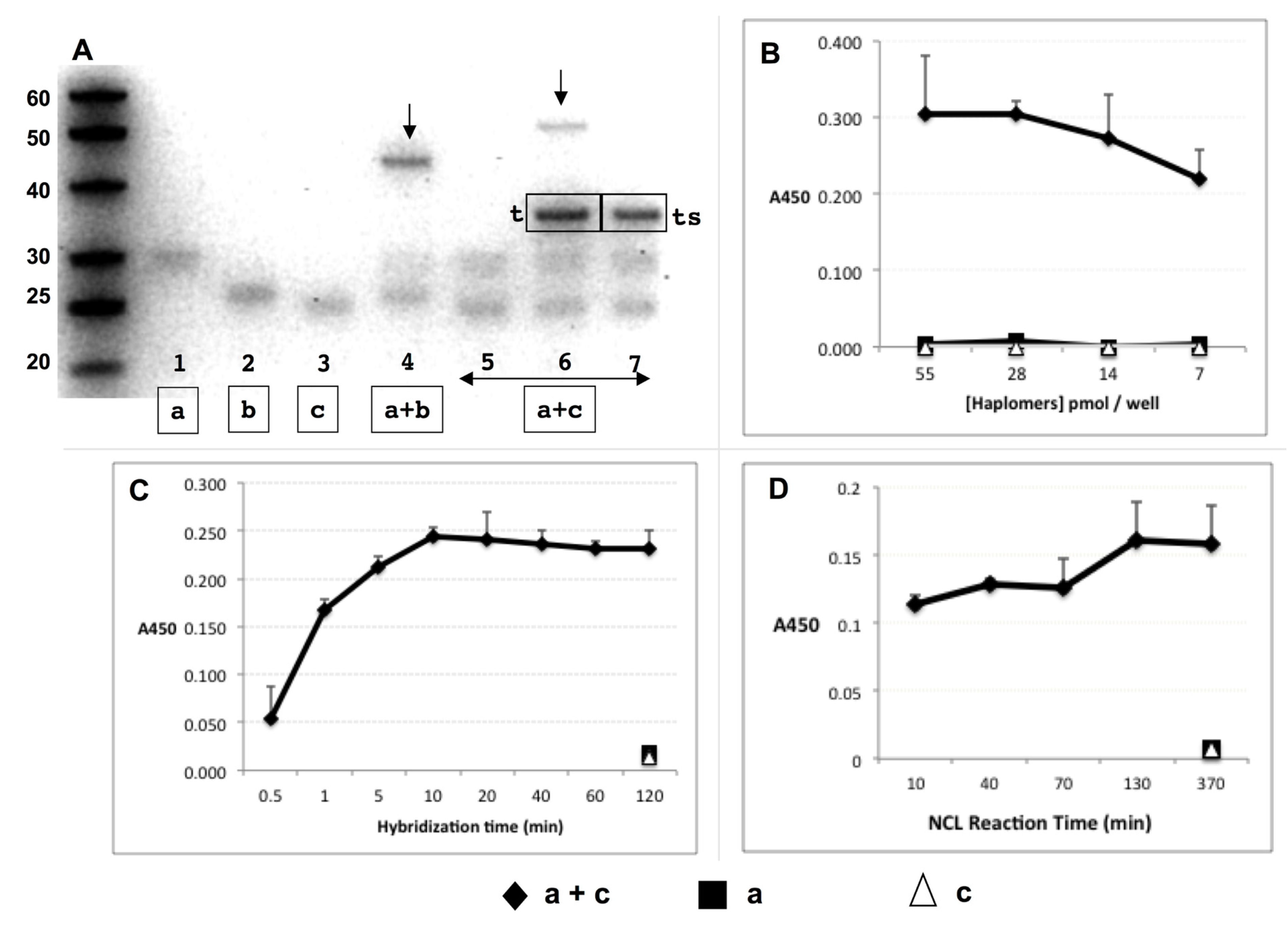 Molecules 27 06831 g002