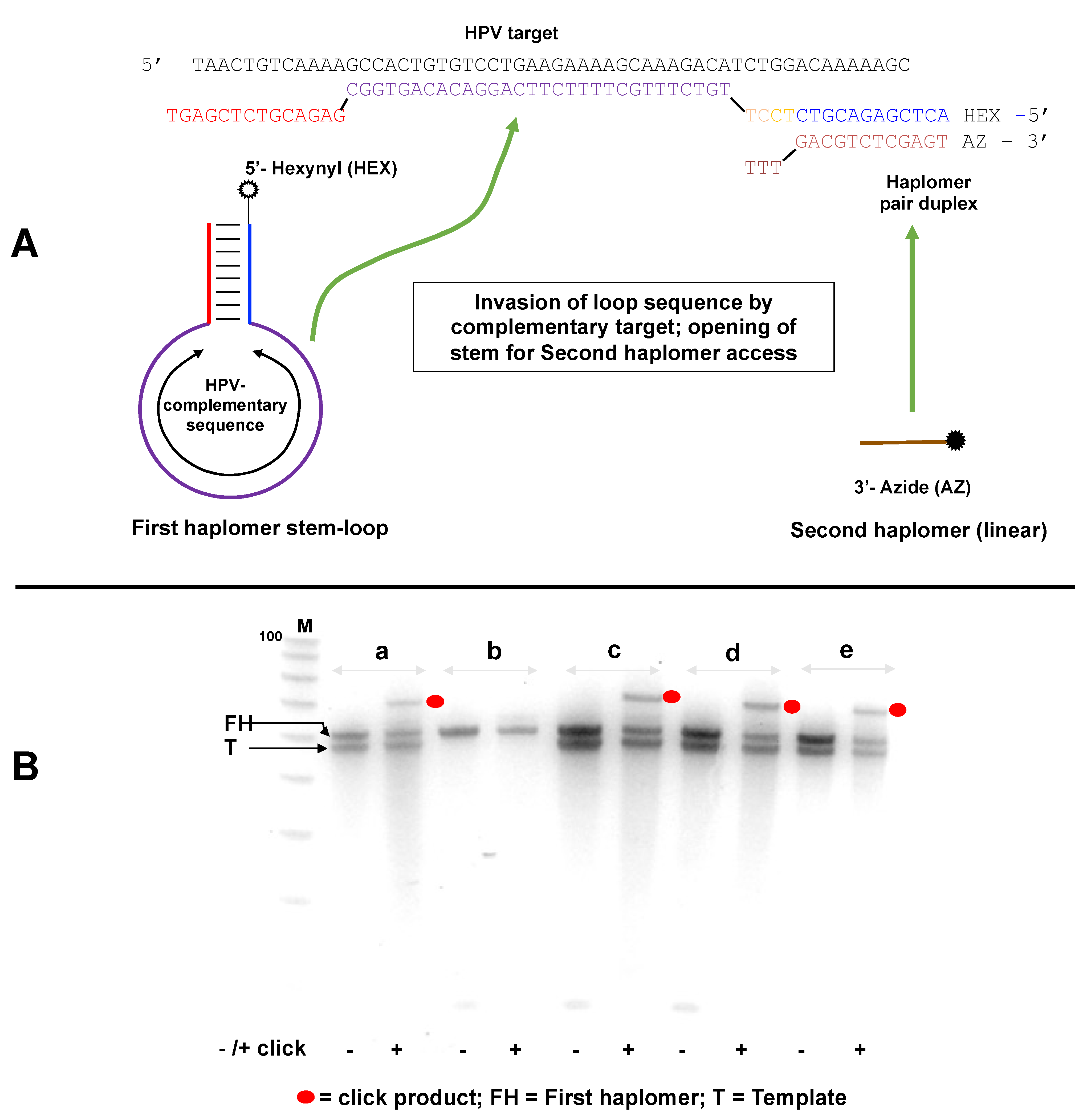 Molecules 27 06831 g004