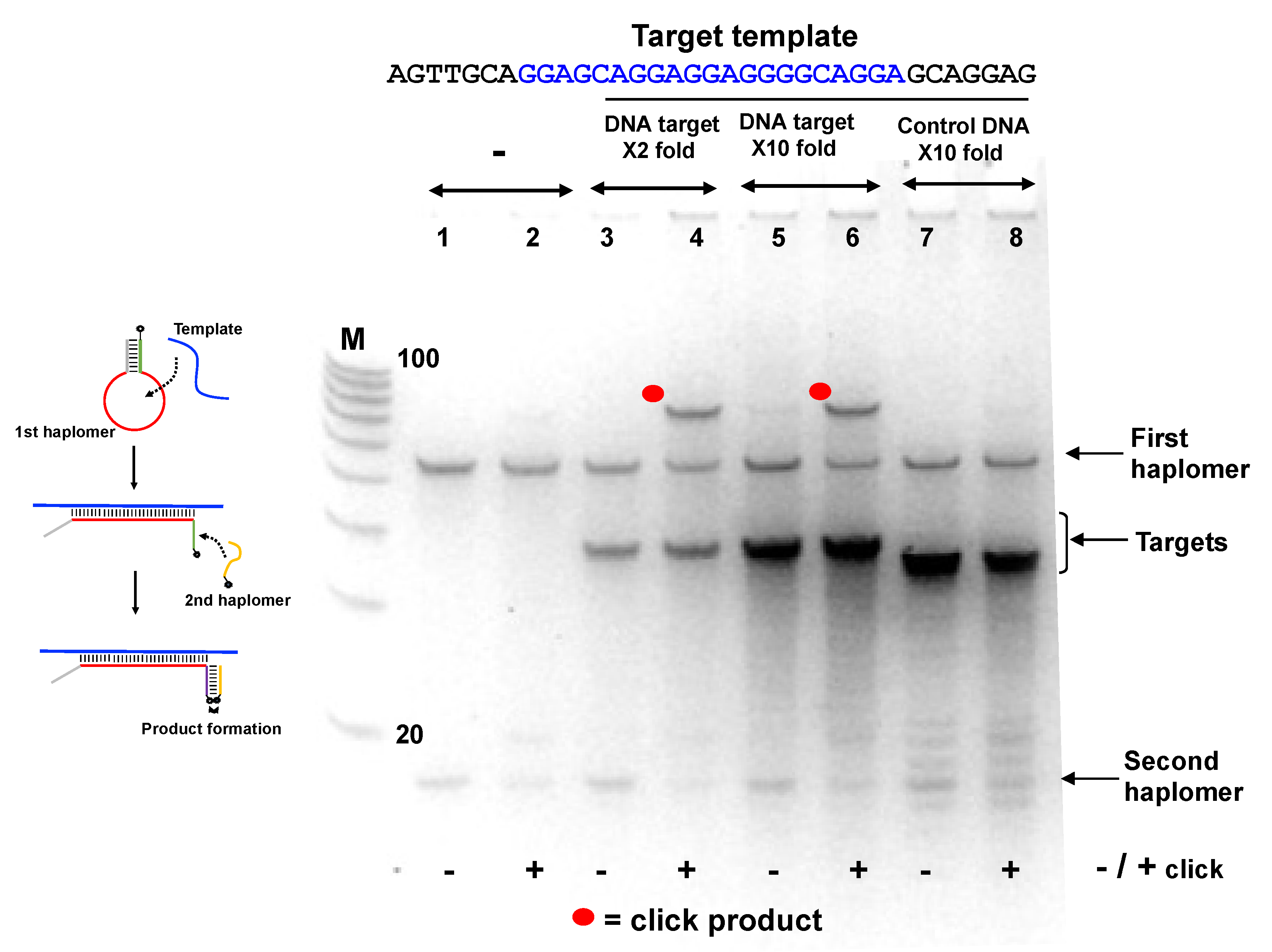 Molecules 27 06831 g005