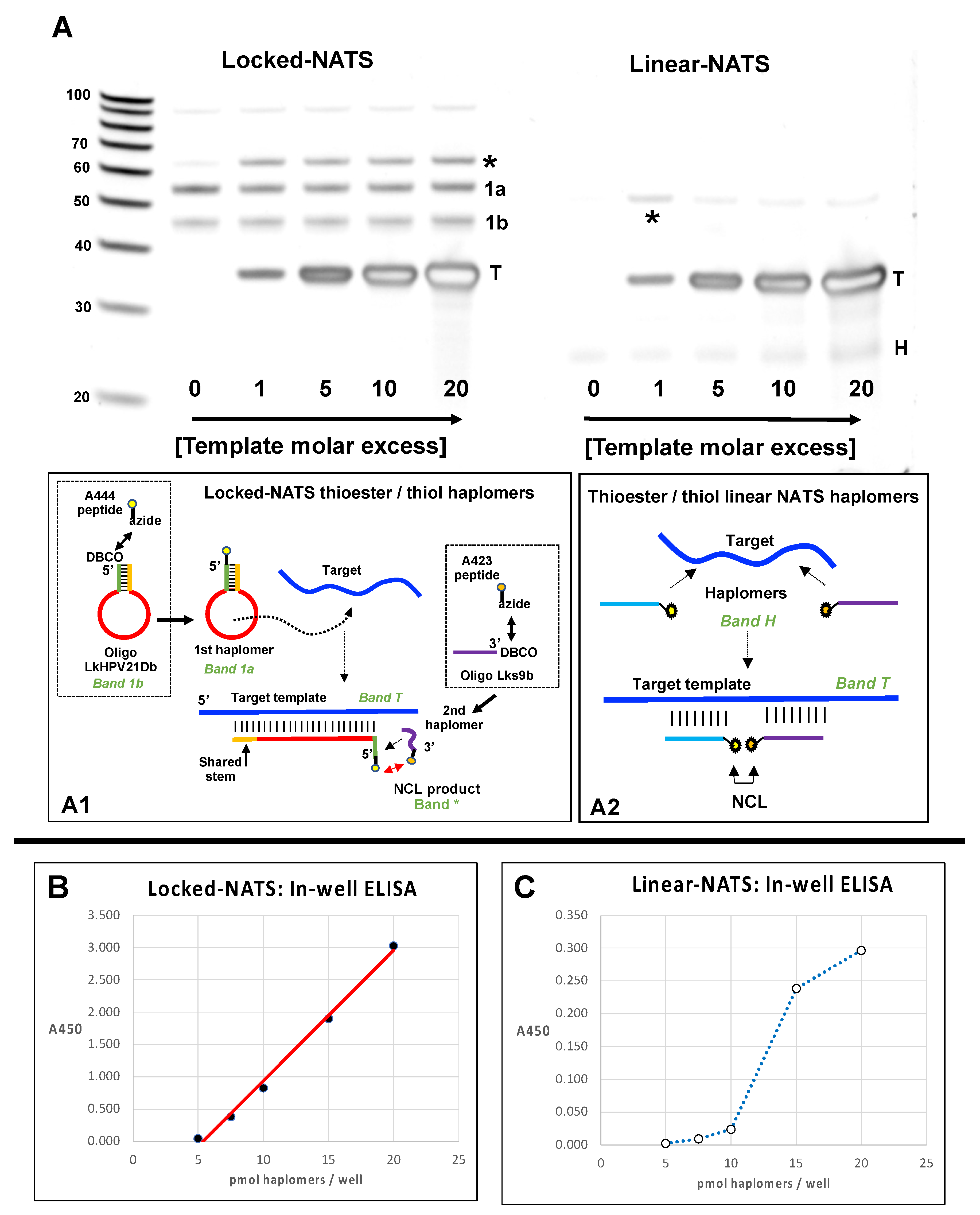 Molecules 27 06831 g008