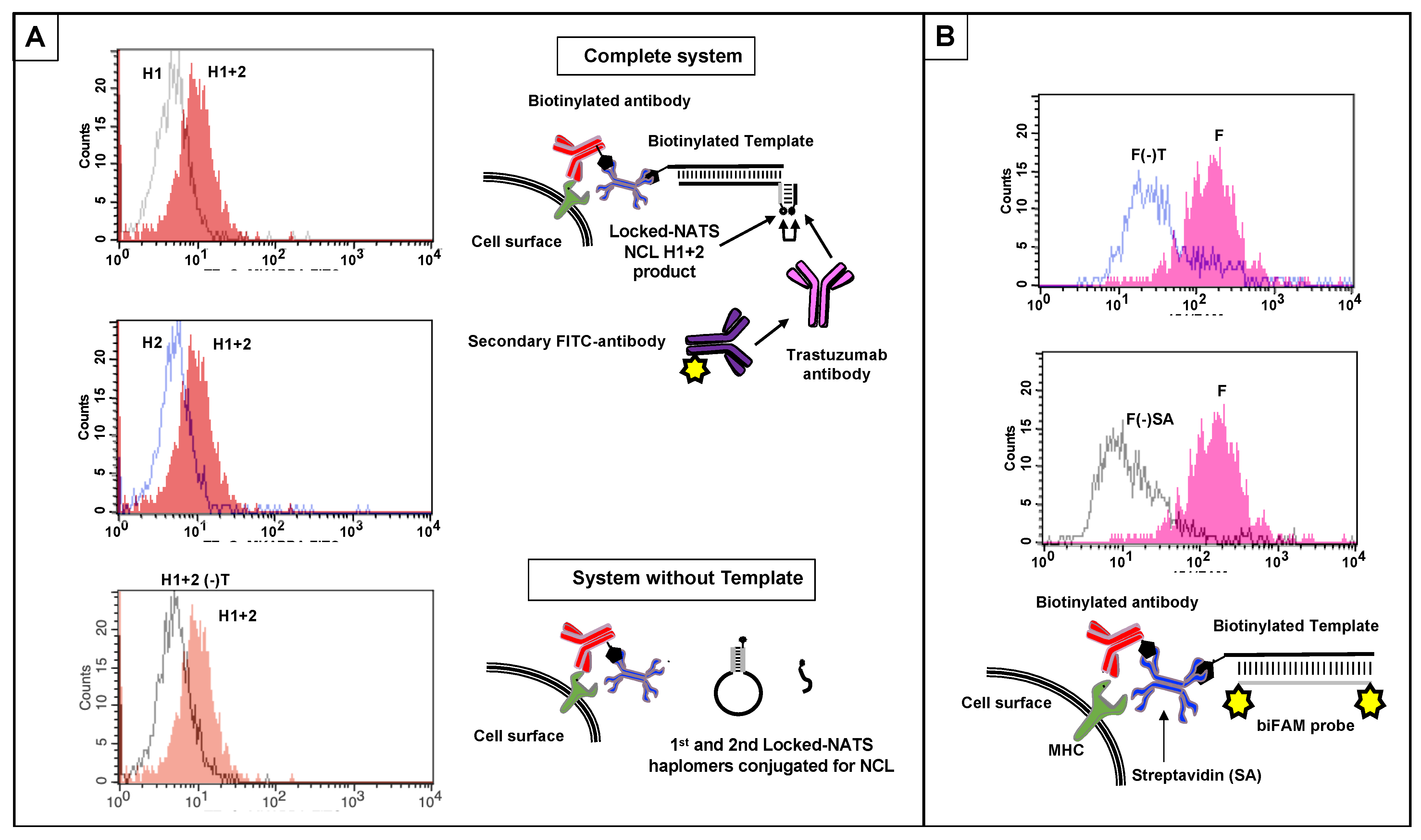 Molecules 27 06831 g009