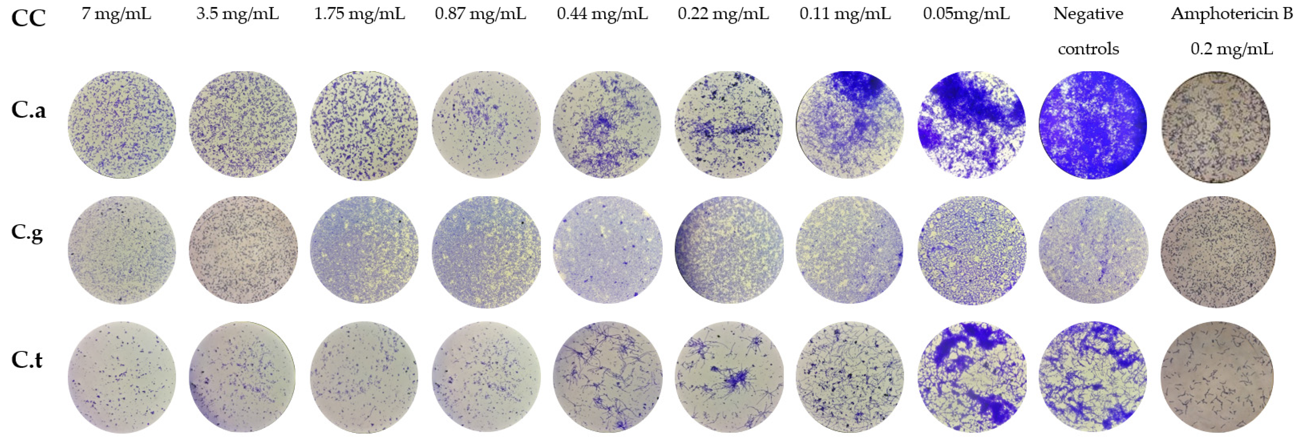 Molecules 27 06834 g005