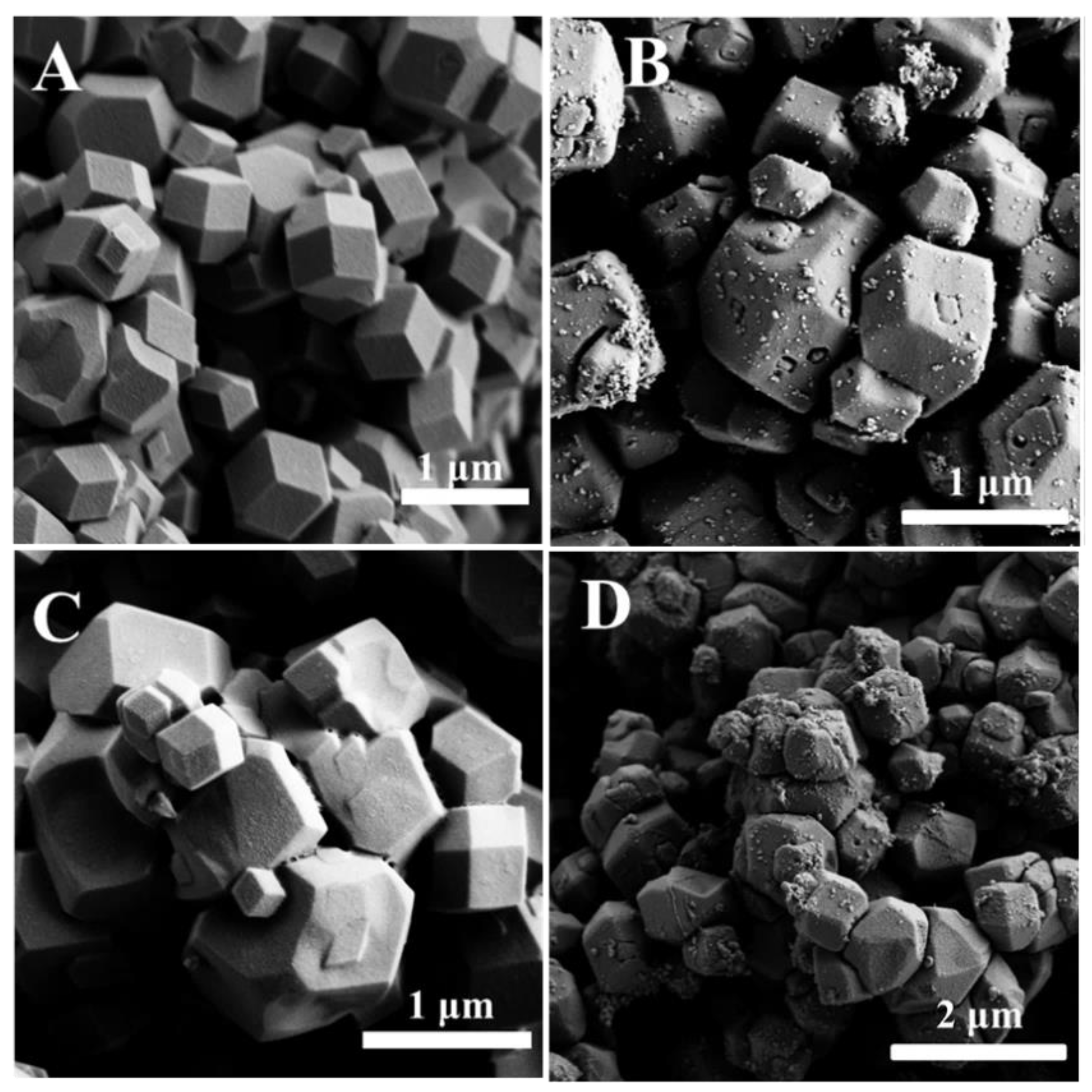 Molecules 27 06842 g001