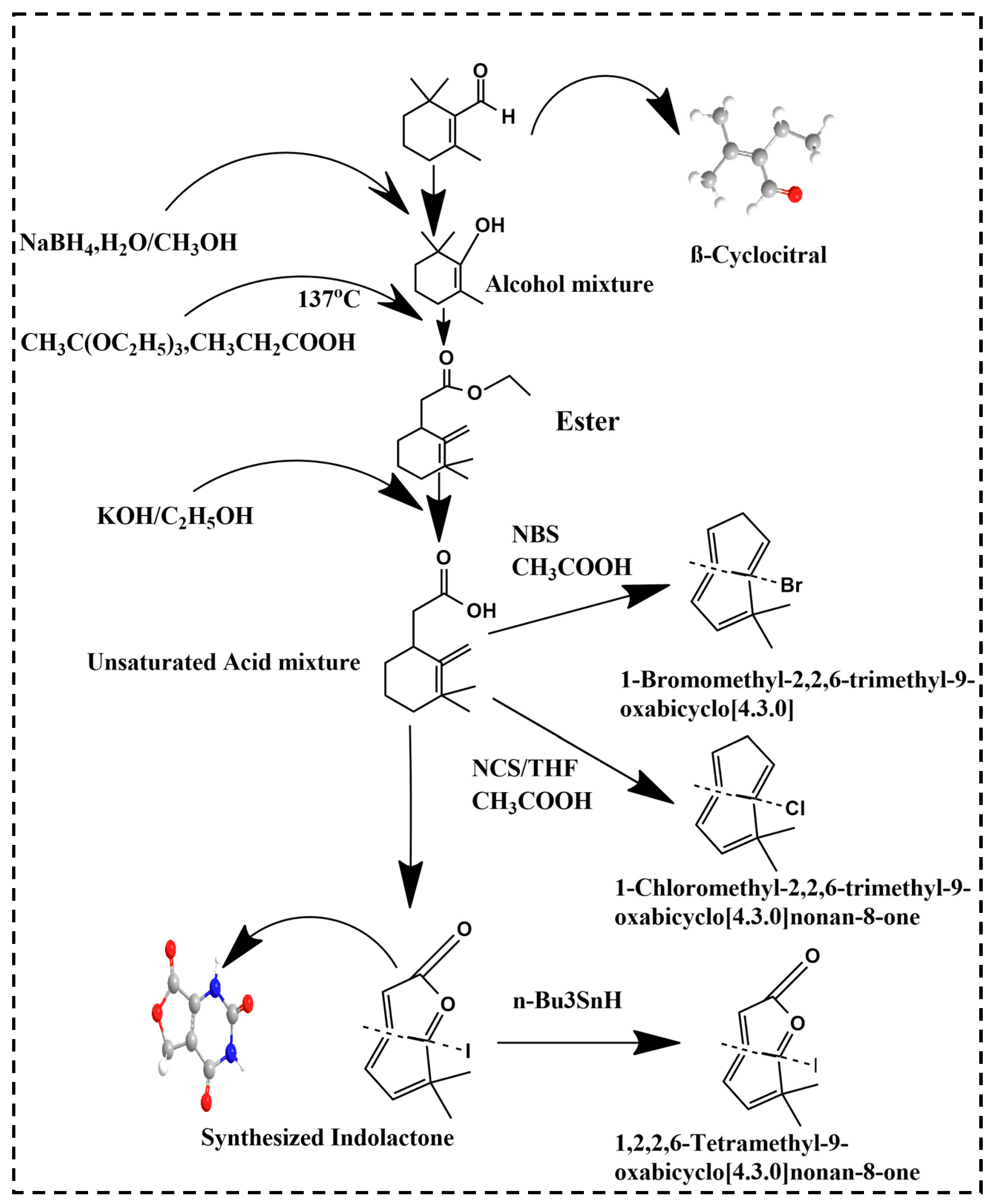 Molecules 27 06845 g001