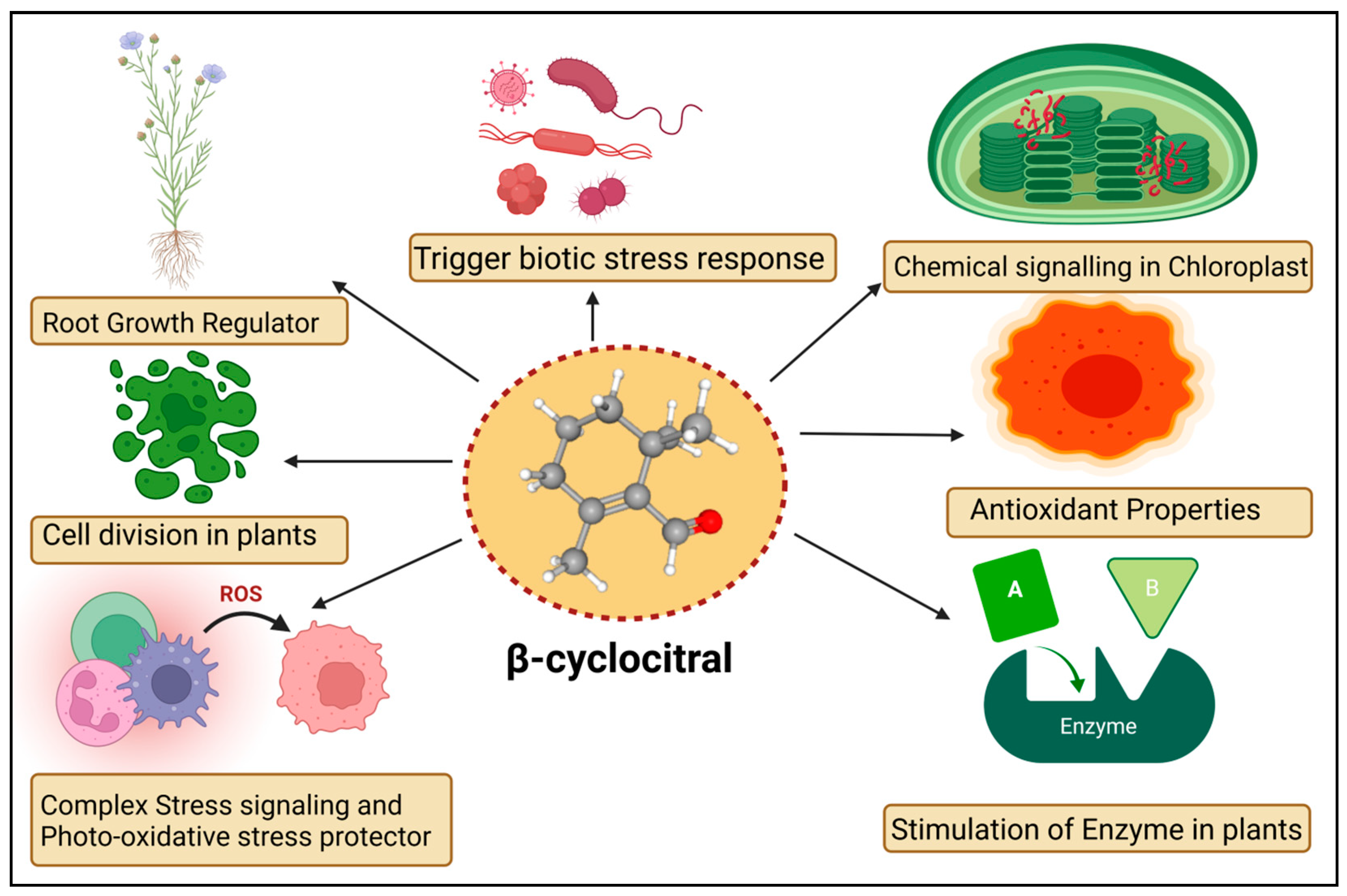 Molecules 27 06845 g002