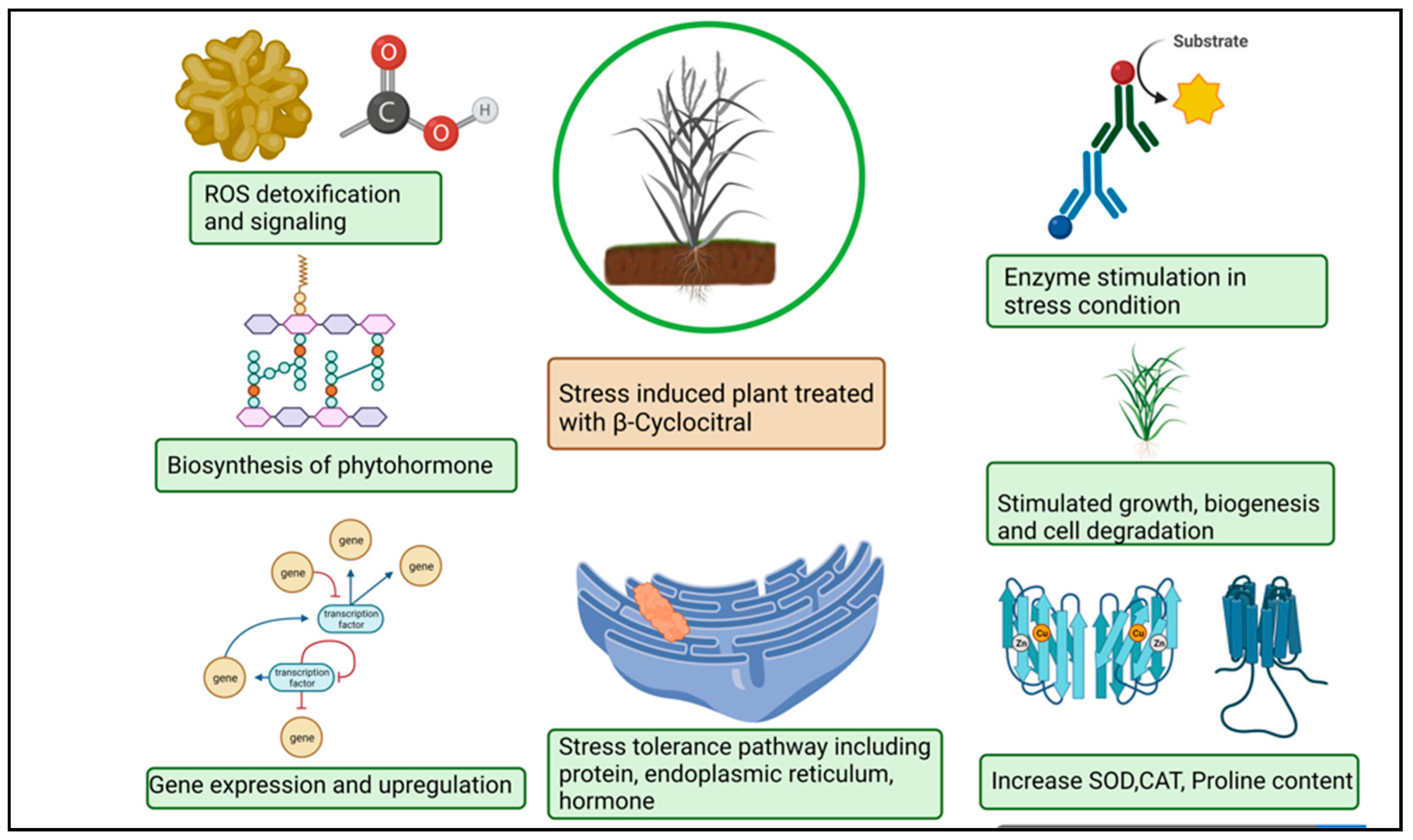 Molecules 27 06845 g003