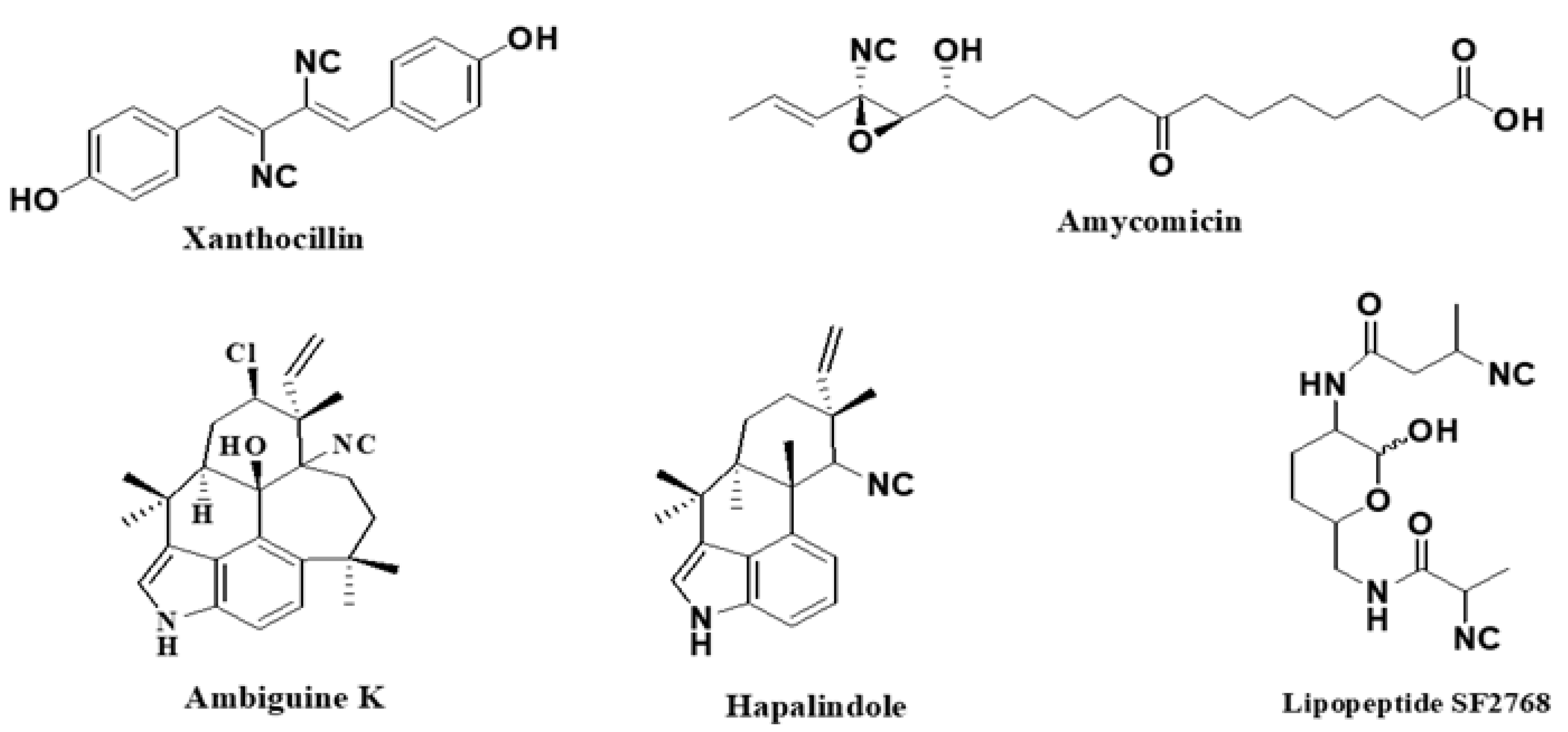 Molecules 27 06850 g001