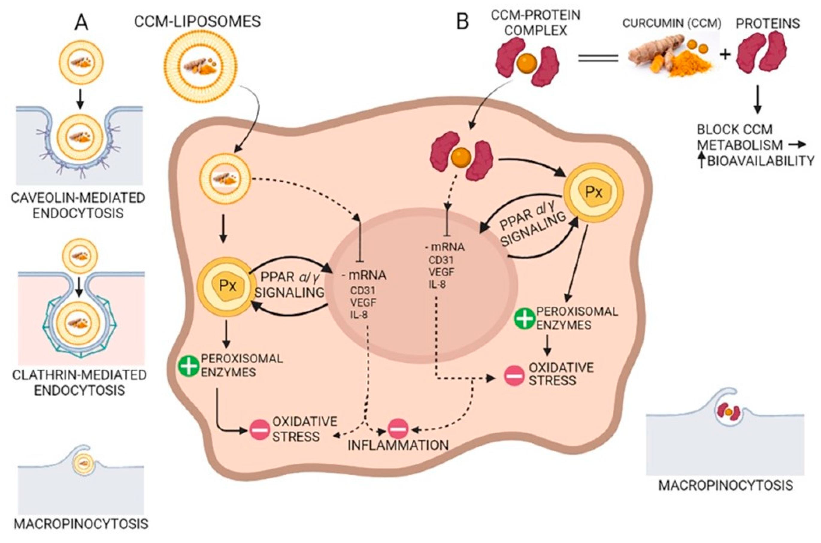 Molecules 27 06854 g004 Molecules 27 06854 g004