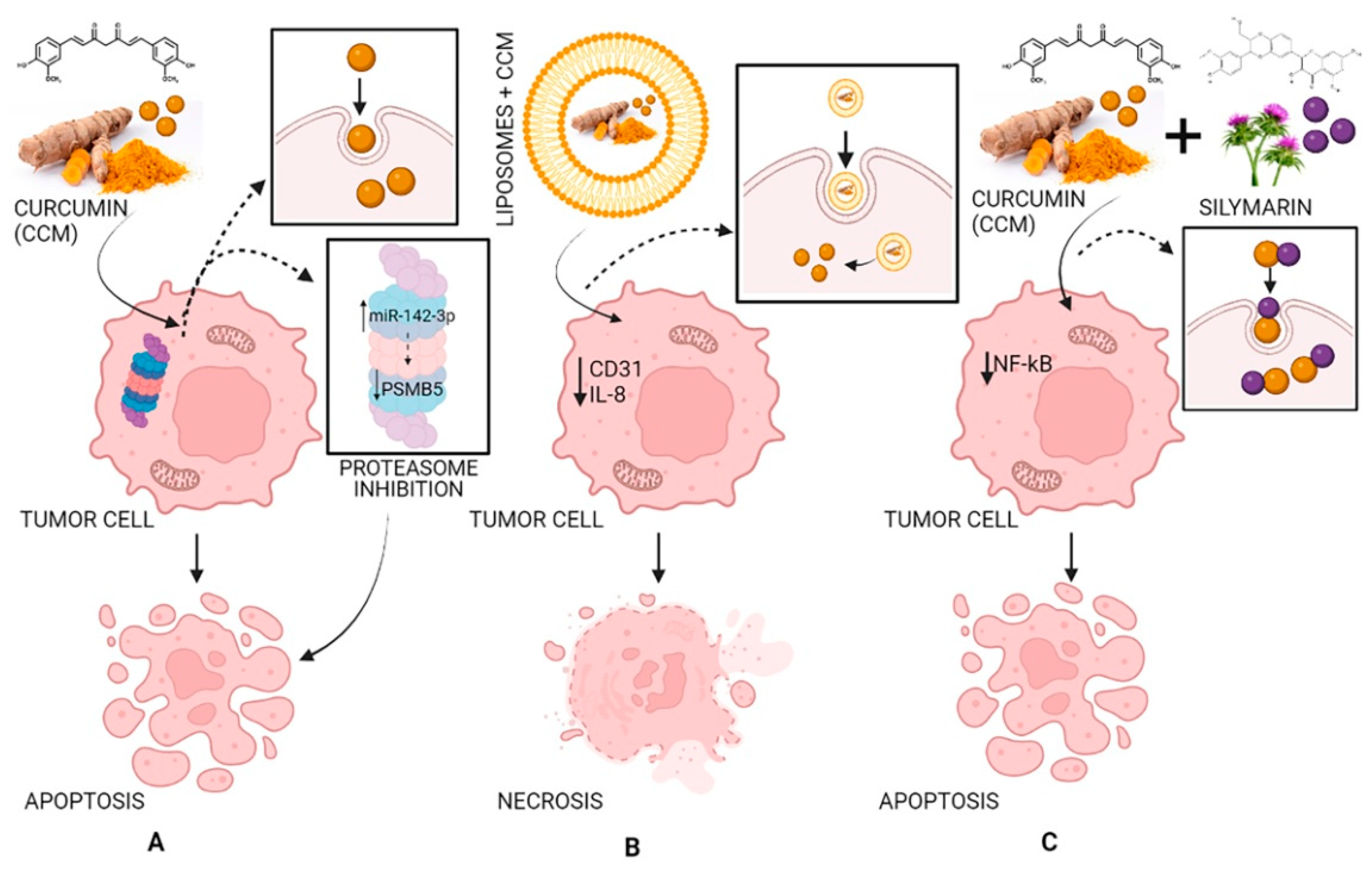 Molecules 27 06854 g005 Molecules 27 06854 g005