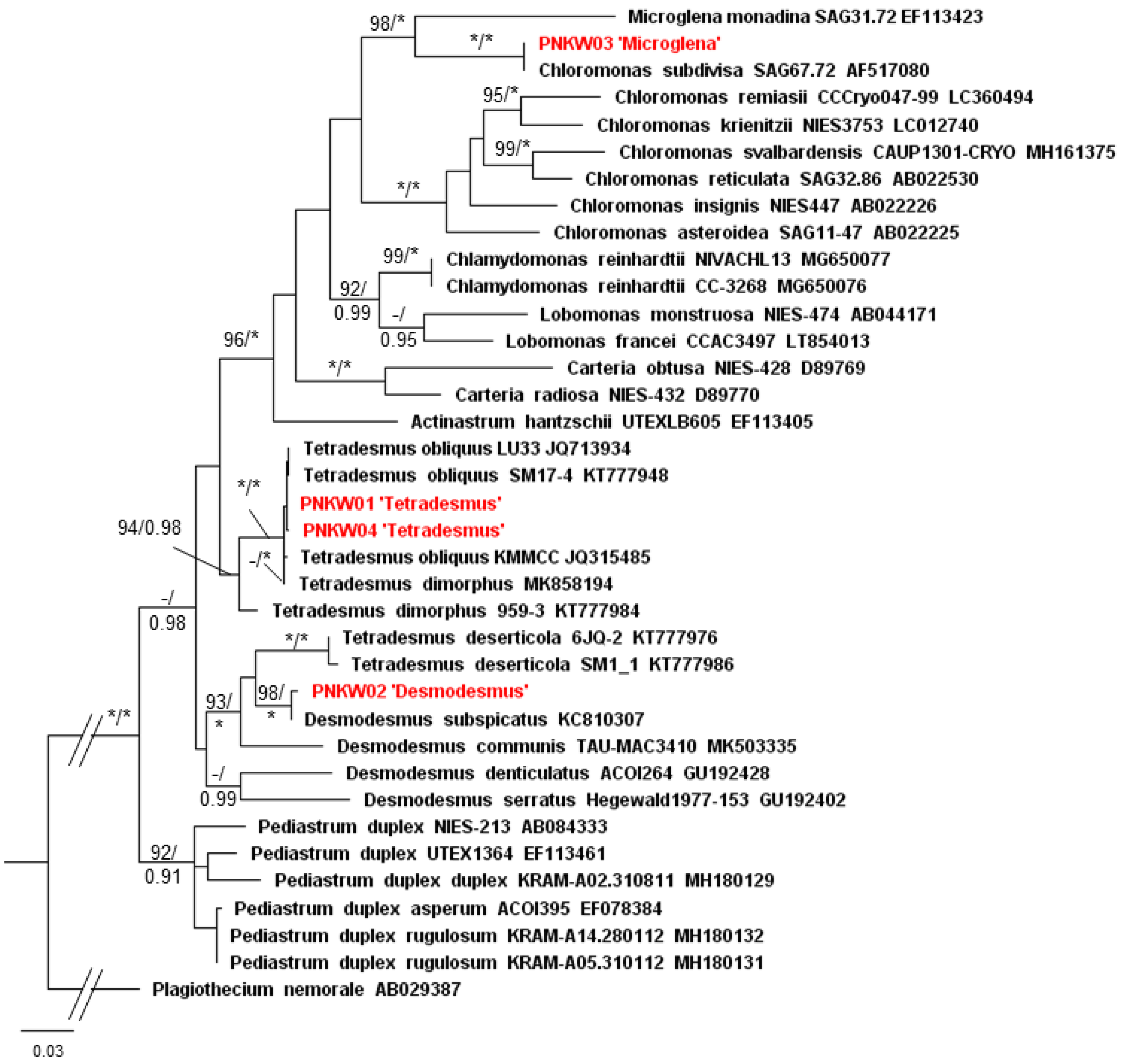 Molecules 27 06856 g003 Molecules 27 06856 g003