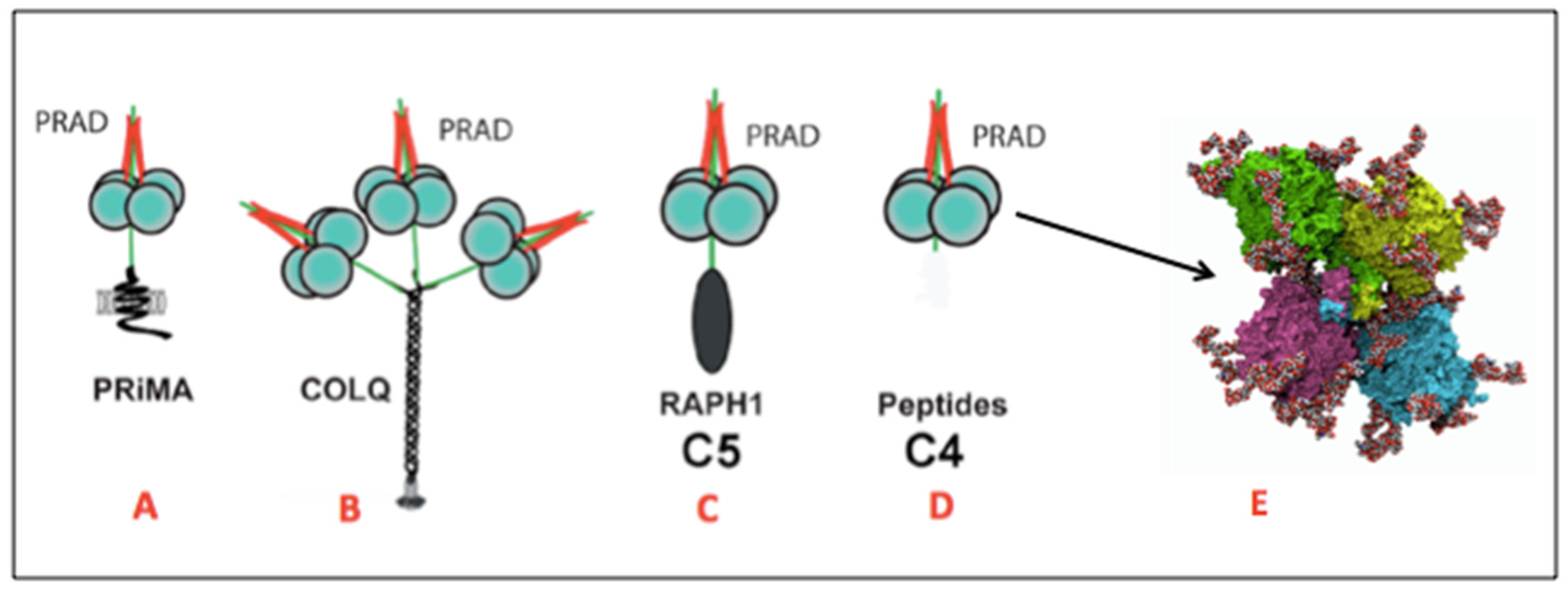 Molecules 27 06861 g001 Molecules 27 06861 g001