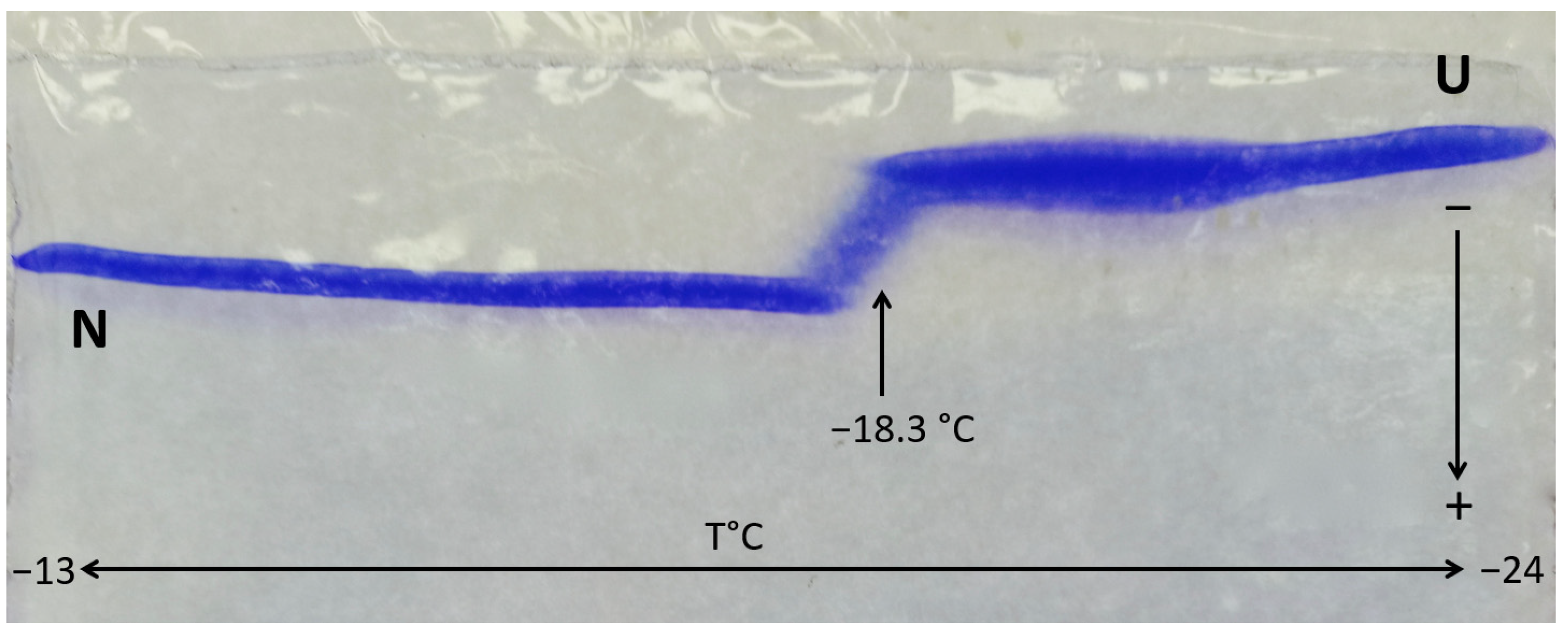 Molecules 27 06861 g009 Molecules 27 06861 g009