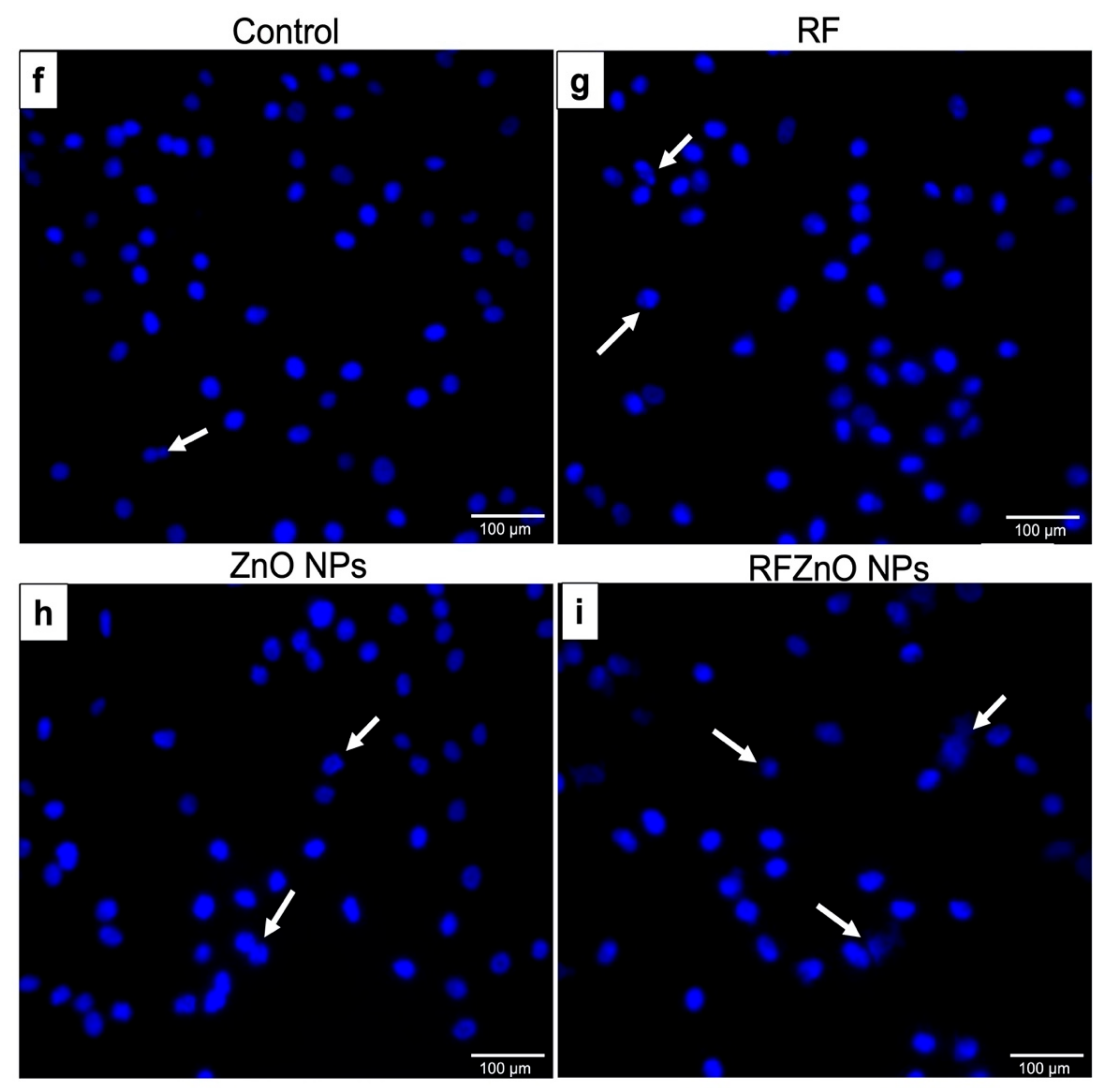 Molecules 27 06862 g004b Molecules 27 06862 g004b