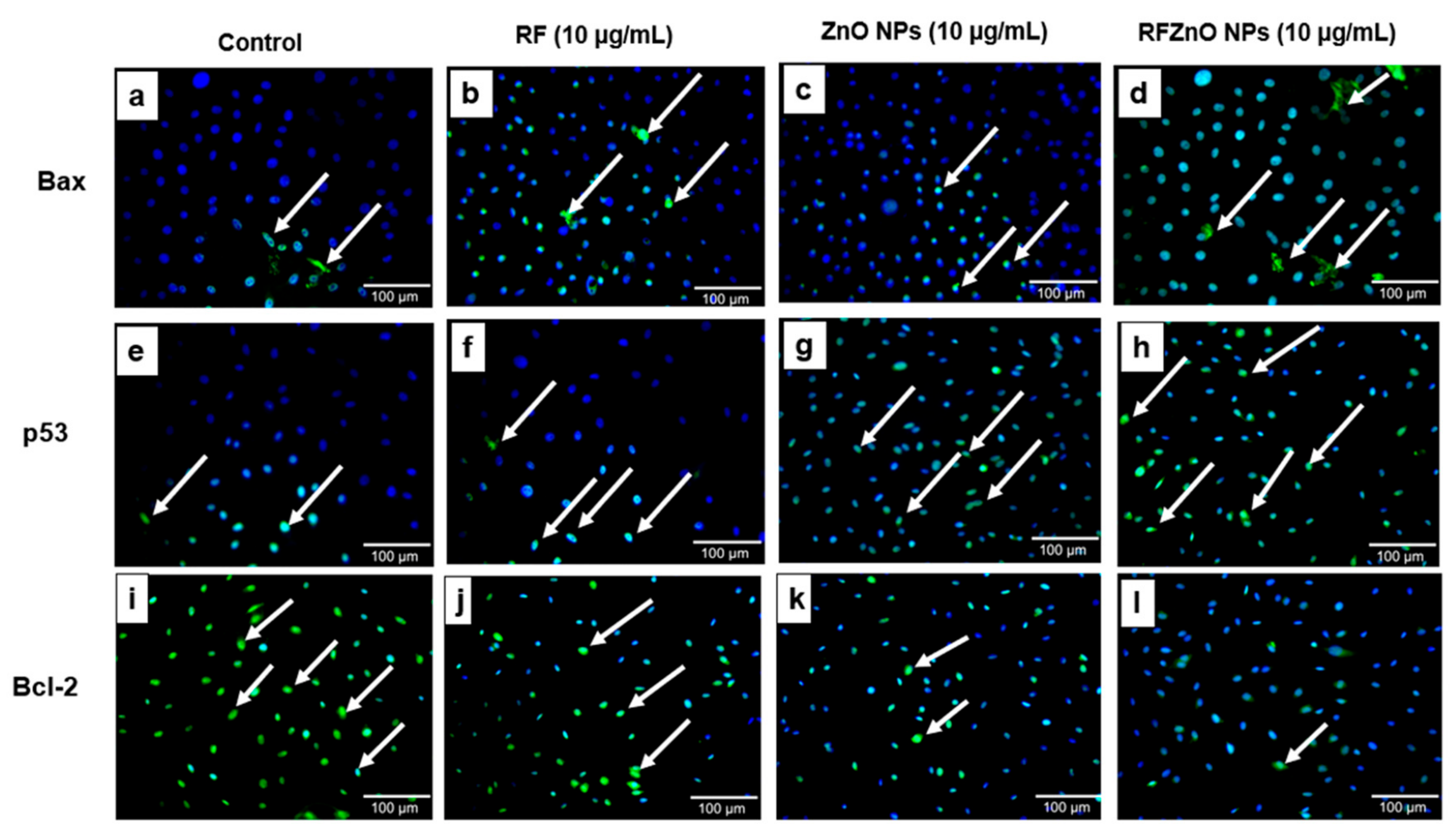 Molecules 27 06862 g005 Molecules 27 06862 g005