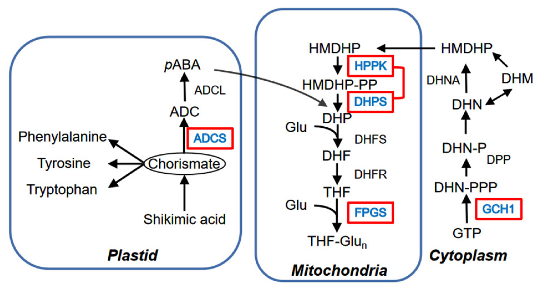 Molecules 27 06868 g005 Molecules 27 06868 g005