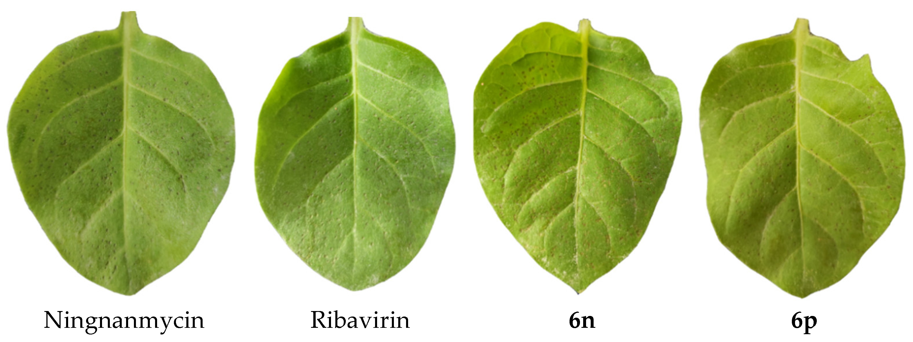 Molecules 27 06875 g002