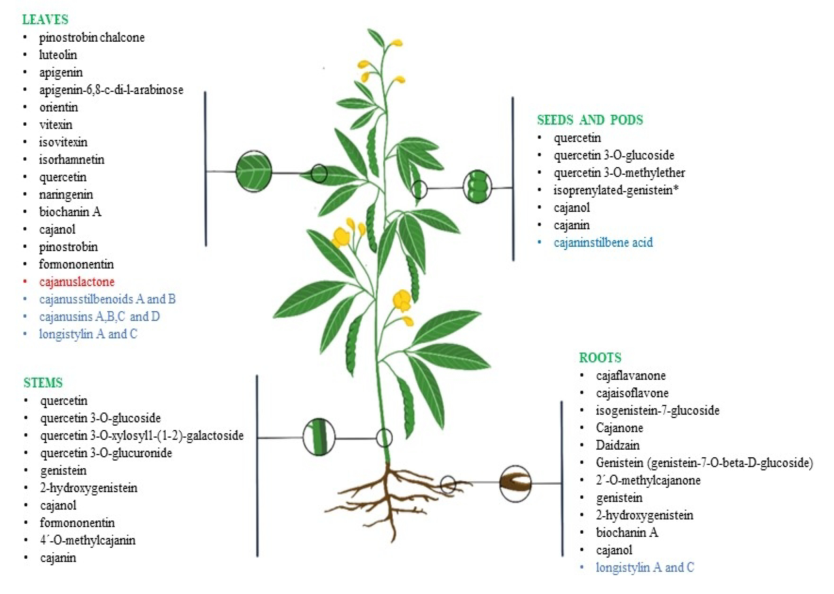 Molecules 27 06877 g001