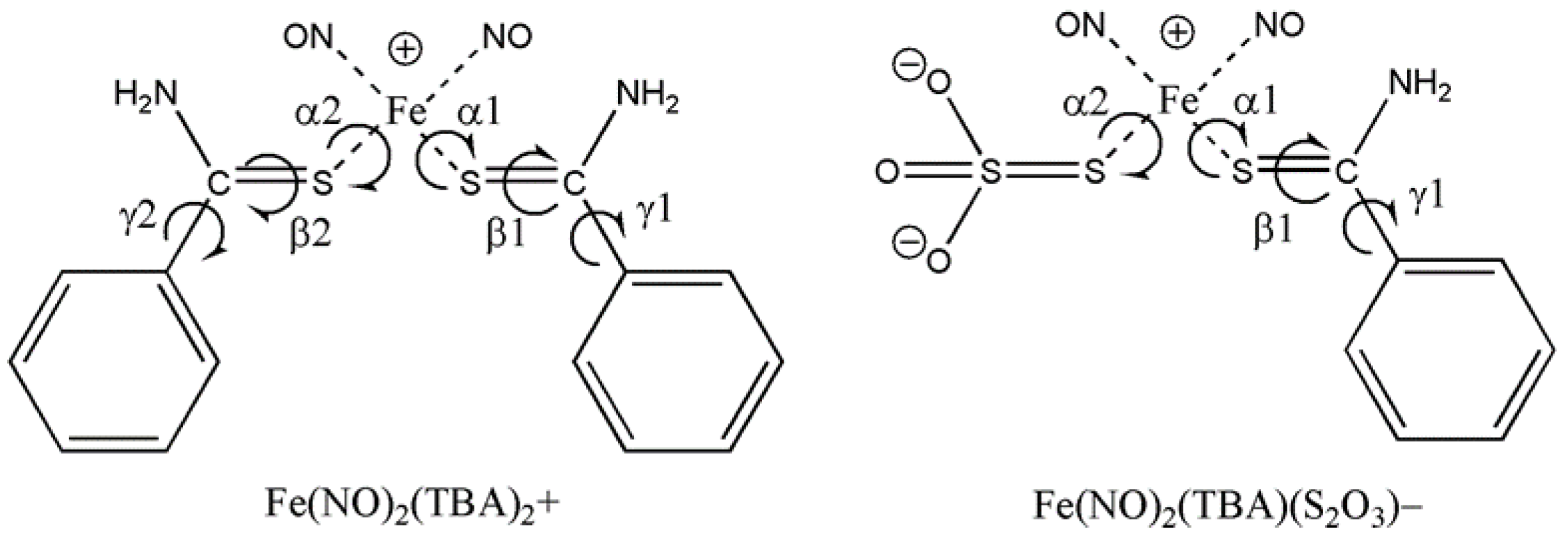 Molecules 27 06886 g004