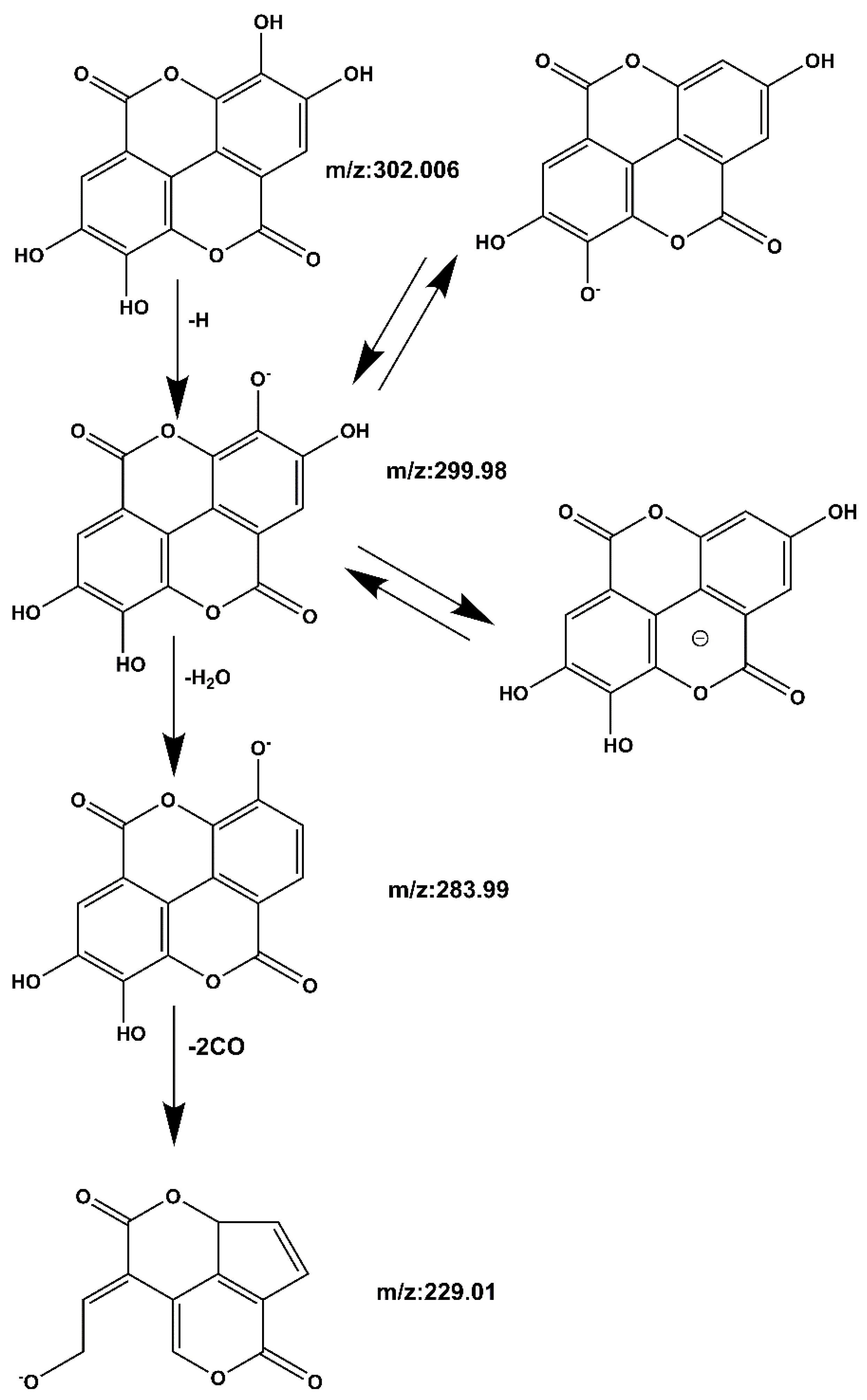 Molecules 27 06893 g007