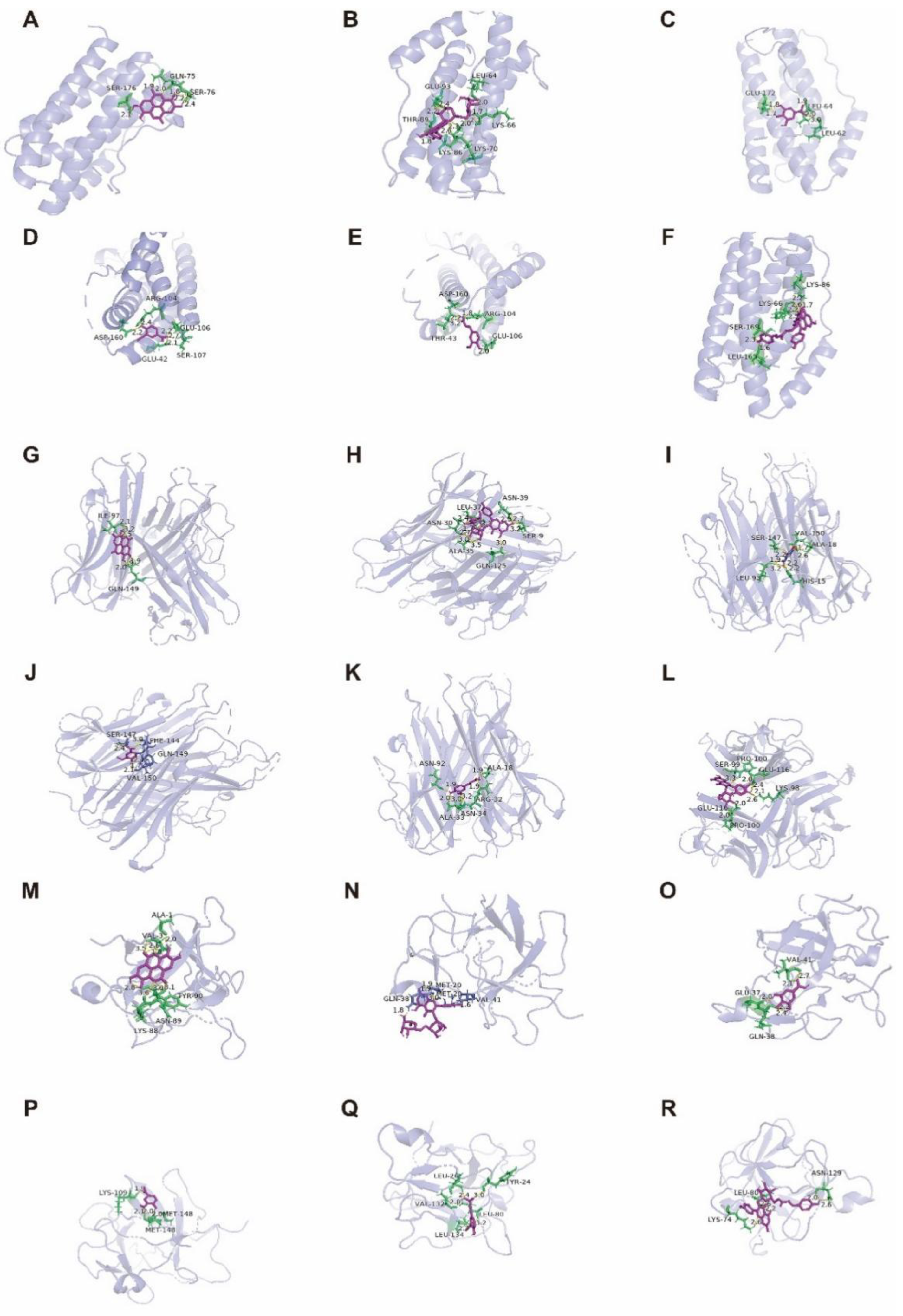 Molecules 27 06893 g013