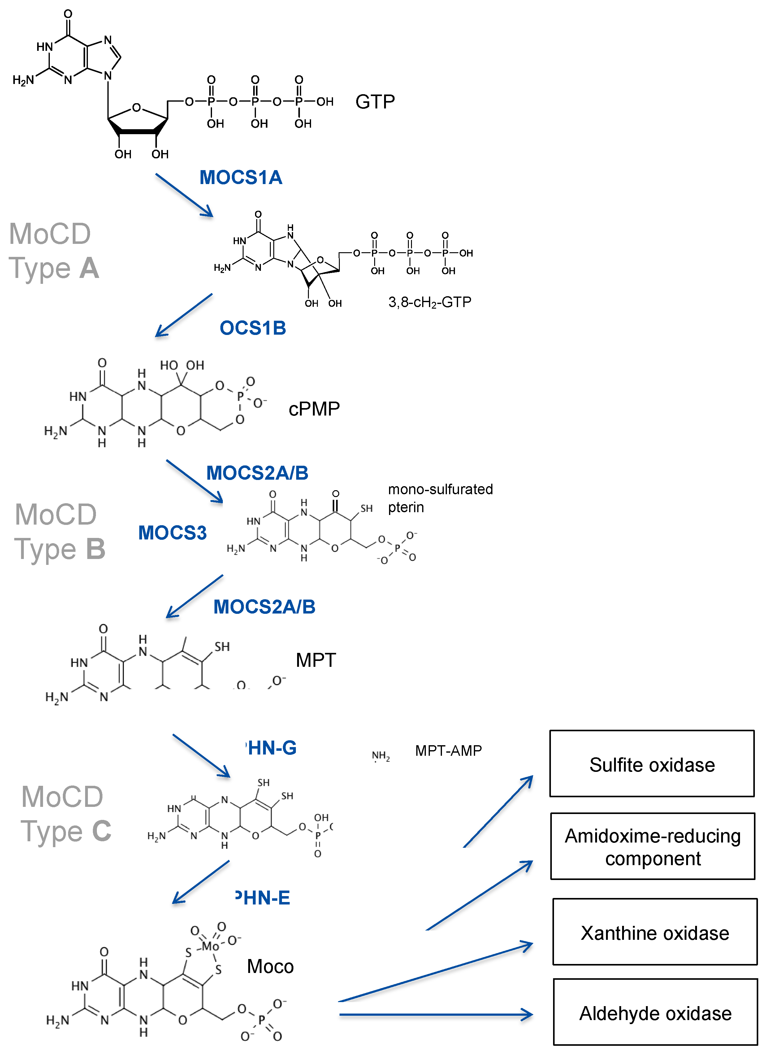 Molecules 27 06896 g001 Molecules 27 06896 g001