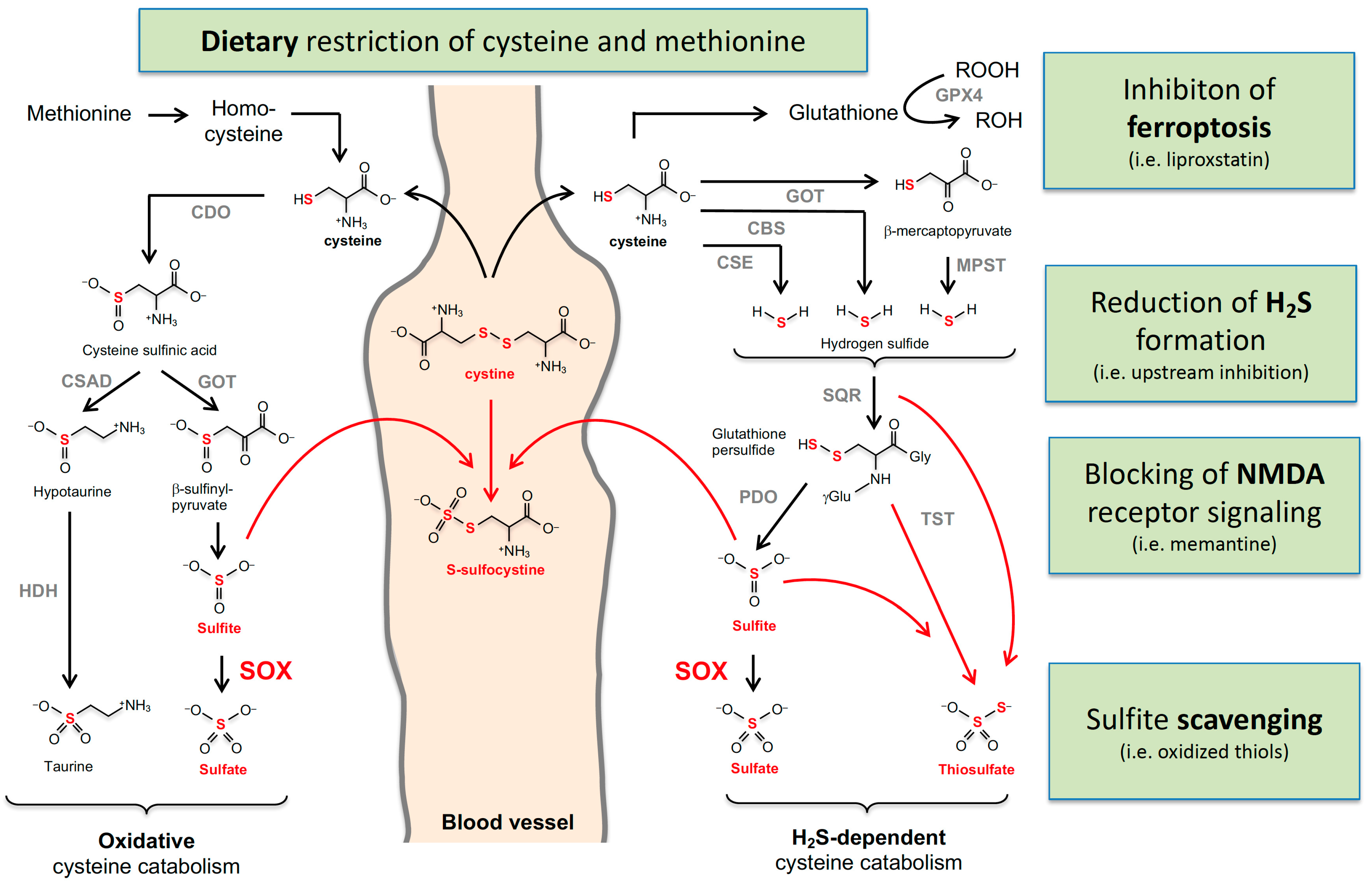 Molecules 27 06896 g002 Molecules 27 06896 g002