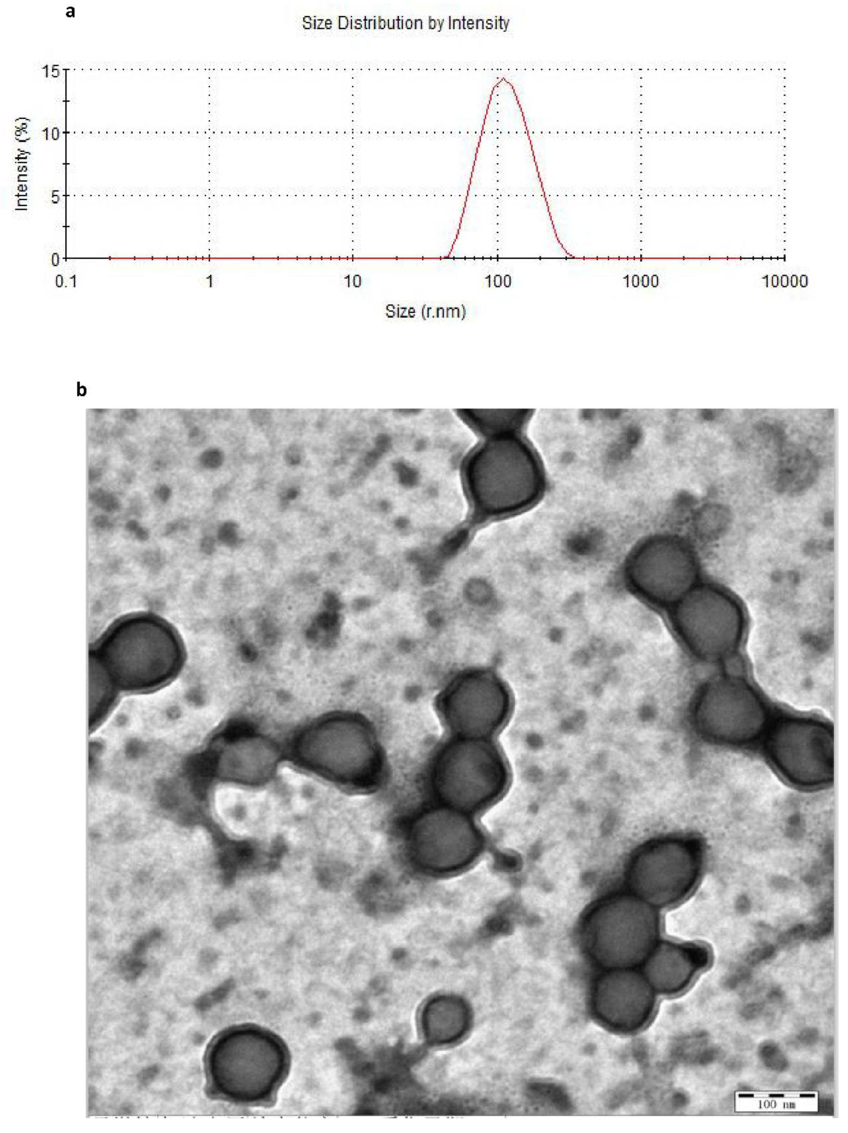 Molecules 27 06908 g003a Molecules 27 06908 g003a